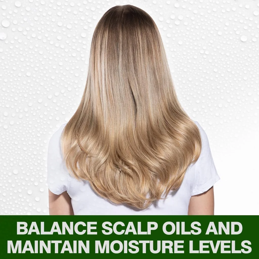 شامپو روغن درخت چای CHI، 340 میلی لیتر، سبز، 340 میلی لیتر (بسته 1 عددی)