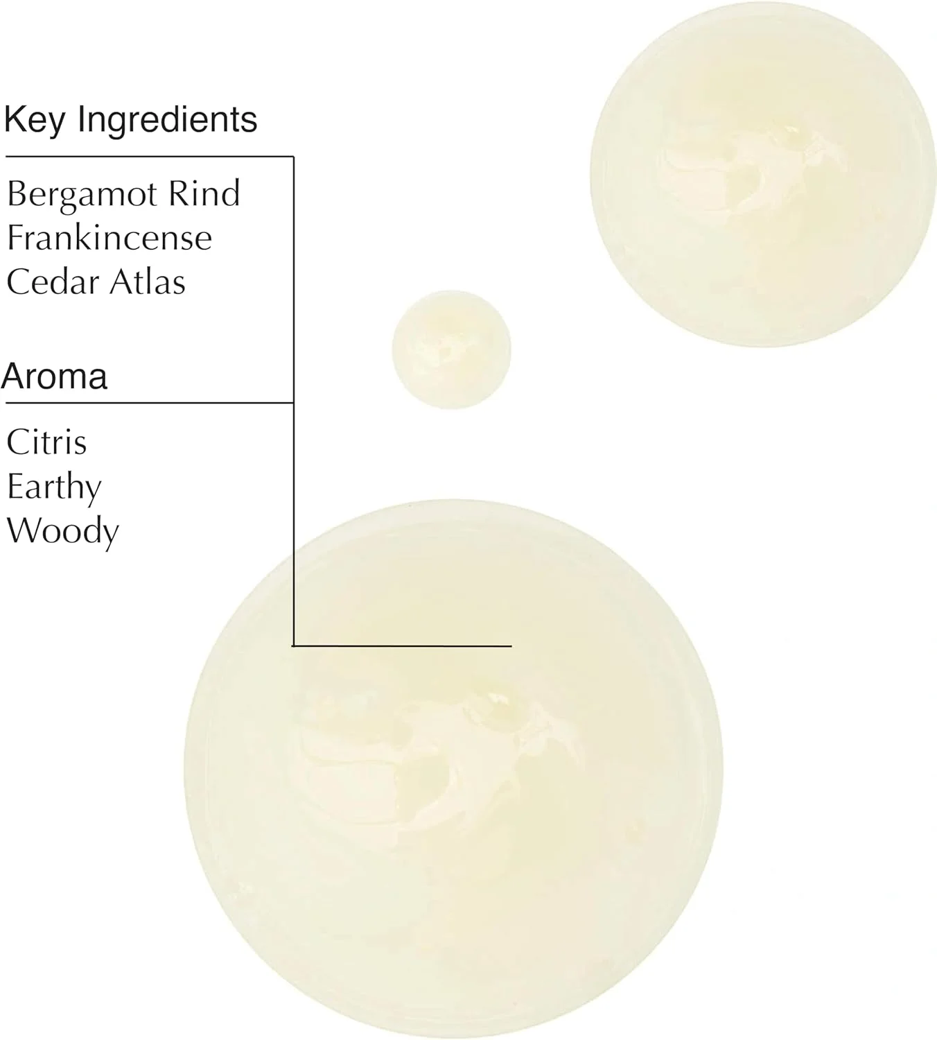 شامپو Aesop | شامپو احیا کننده برای موهای نرم، براق و خوشبو | حاوی کندر و پانتنول | 100 میلی لیتر شامپو Aesop | شامپو احیا کننده برای موهای نرم، براق و خوشبو | حاوی کندر و پانتنول | 100 میلی لیتر