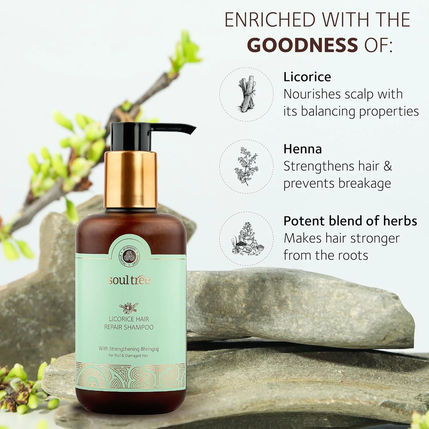 شامپو ترمیم کننده مو شیرین بیان SoulTree با تقویت کننده Bhringraj - 250 میلی لیتر