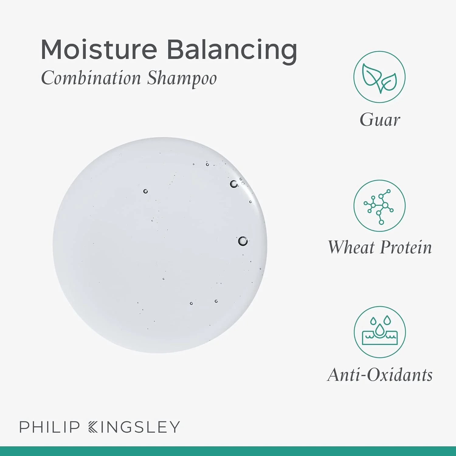 شامپو متعادل کننده رطوبت فیلیپ کینگزلی 250 میلی لیتر