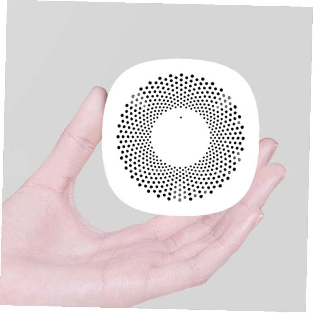 دستگاه تشخیص گاز WRQzxcv، دستگاه سنجش دی اکسید کربن داخل ساختمان، کنترلر کیفیت هوا، ابزار تست CO2 خانگی