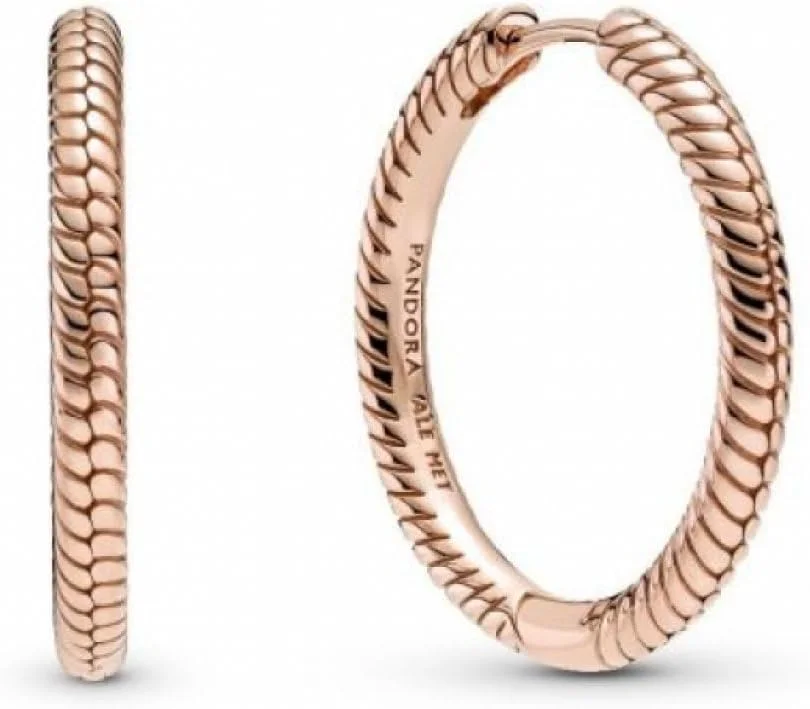 گوشواره های حلقه ای آویز ایکون پاندورا