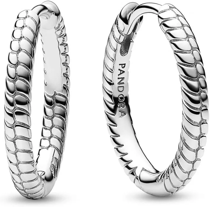 گوشواره های حلقه ای زنجیری ماری Pandora Moments