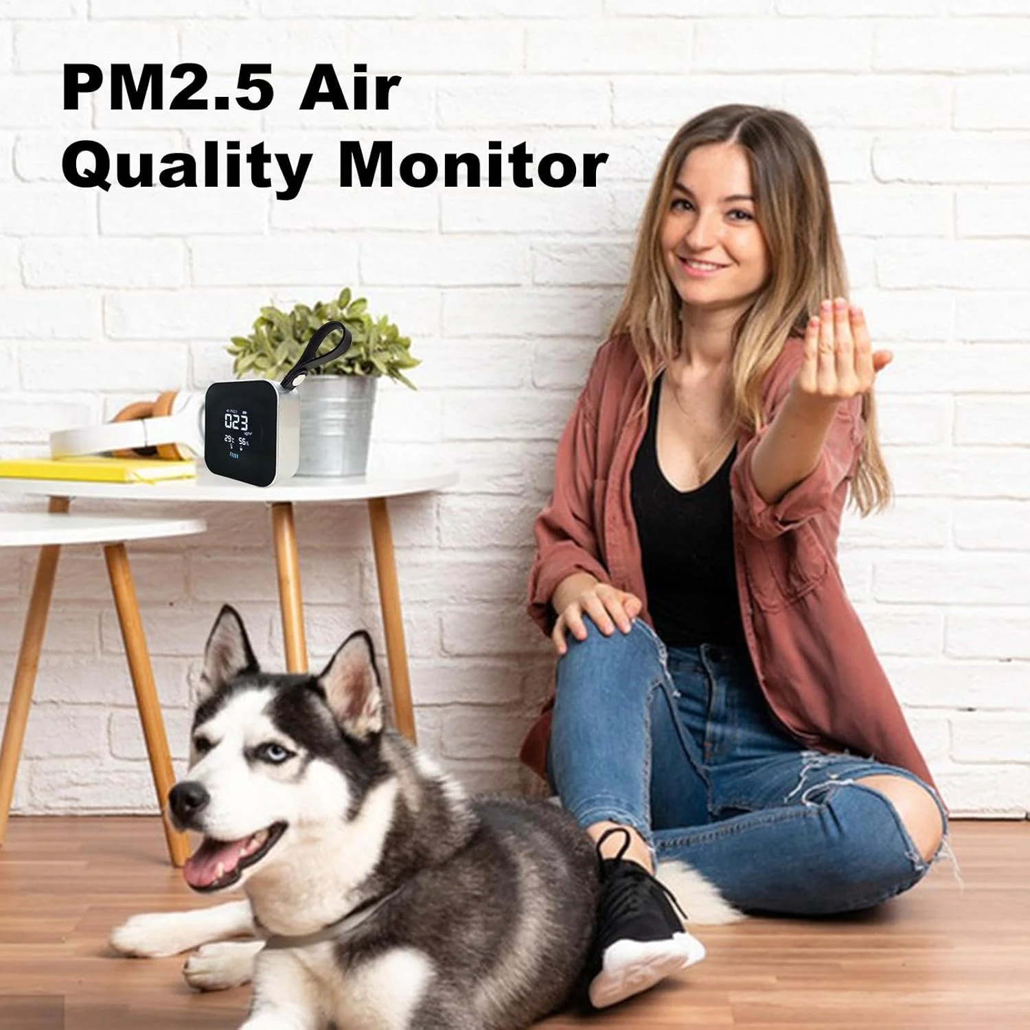 دستگاه تشخیص PM2.5 - مانیتور کیفیت هوای کوچک قابل حمل داخلی با شارژ Type-C، دارای بند و نمایشگر LED | ابزار تشخیص گرد و غبار چند منظوره برای خانه و آشپزخانه دستگاه تشخیص PM2.5 - مانیتور کیفیت هوای کوچک قابل حمل داخلی با شارژ Type-C، دارای بند و نمایشگر LED | ابزار تشخیص گرد و غبار چند منظوره برای خانه و آشپزخانه