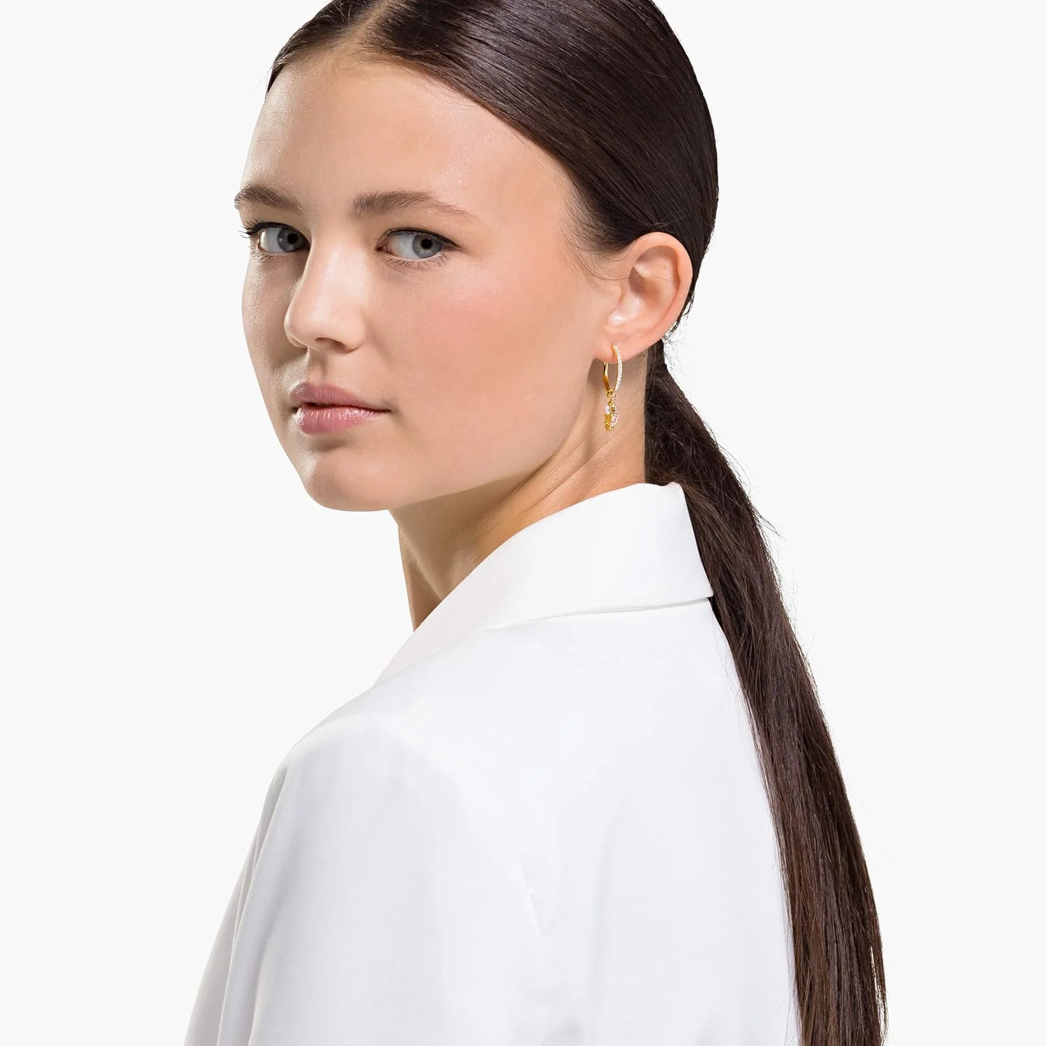 مجموعه اقیانوس سواروسکی مجموعه اقیانوس سواروسکی