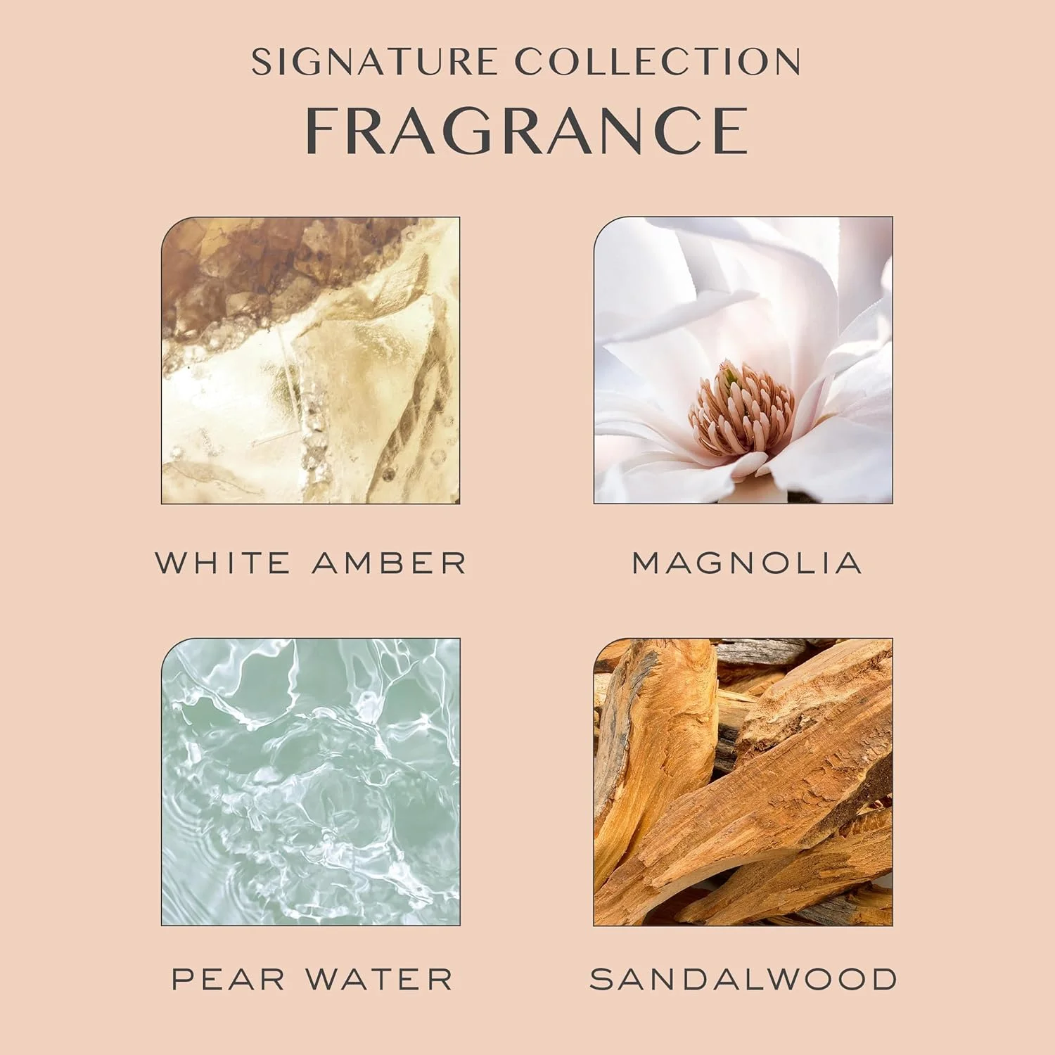 شامپو مو کریستین اس مدل One Signature حاوی روغن آووکادو + روغن کرچک برای خانم ها - شامپو آبرسان روزانه بدون سولفات با خاصیت روشن کنندگی ملایم، محافظ رنگ مو، وگان، 1000 میلی لیتر