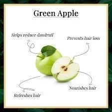 شامپو و نرم کننده روزانه سیب سبز گیاهی KHADI RISHIKESH برای پوست سر چرب و کنترل ریزش مو، شامپو برای موهای چرب، پسران و دختران و مردان و زنان (210 میلی لیتر) شامپو و نرم کننده روزانه سیب سبز گیاهی KHADI RISHIKESH برای پوست سر چرب و کنترل ریزش مو، شامپو برای موهای چرب، پسران و دختران و مردان و زنان (210 میلی لیتر)