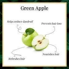 شامپو روزانه پاک کننده سیب سبز گیاهی KHADI RISHIKESH برای پوست سر چرب و کنترل ریزش مو، مناسب موهای چرب، پسران، دختران، مردان و زنان (210 میلی لیتر) (بسته 2 عددی (2x210 میلی لیتر))