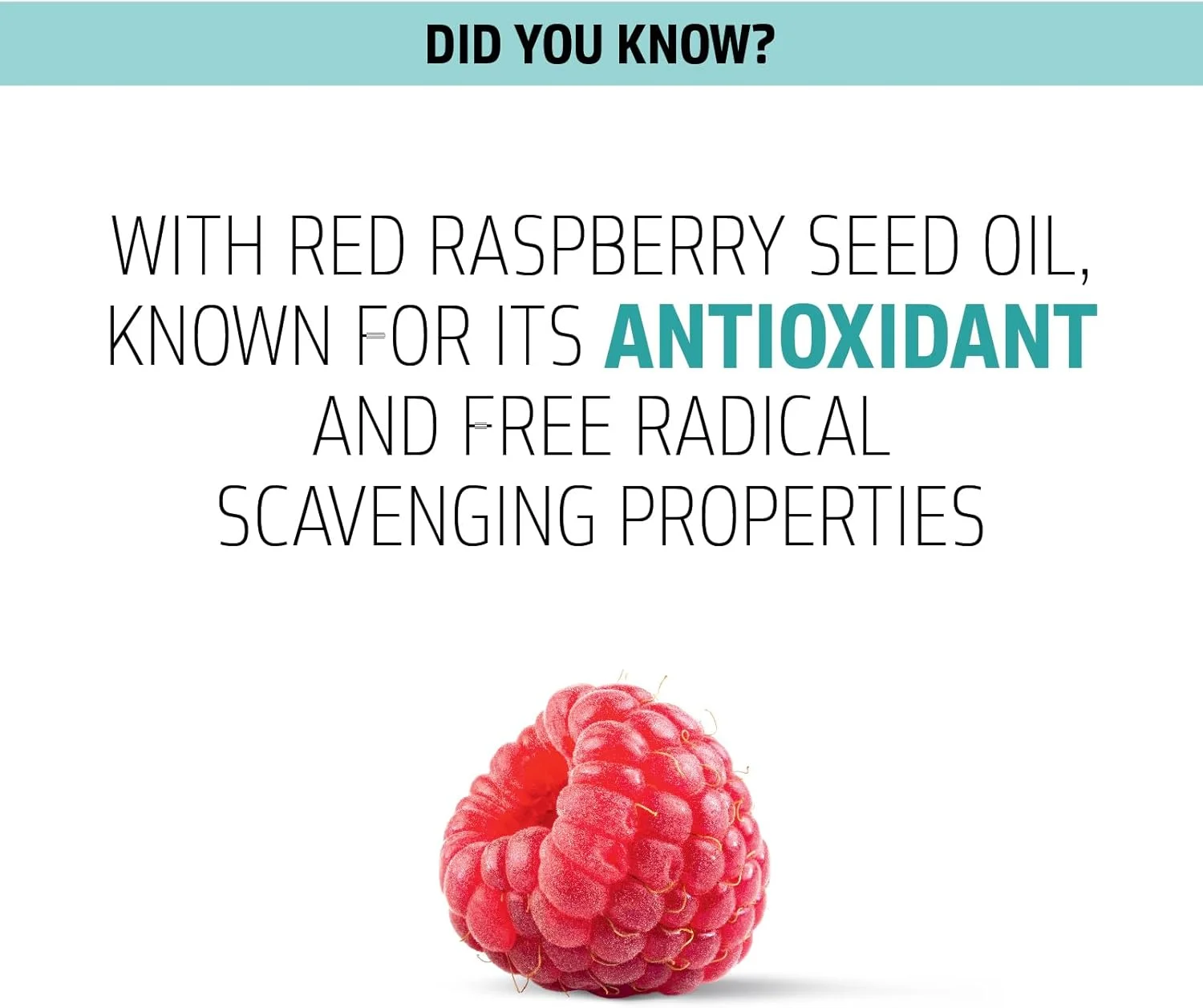 شامپو پاک کننده عمیق پوست سر گلدول Dualsenses