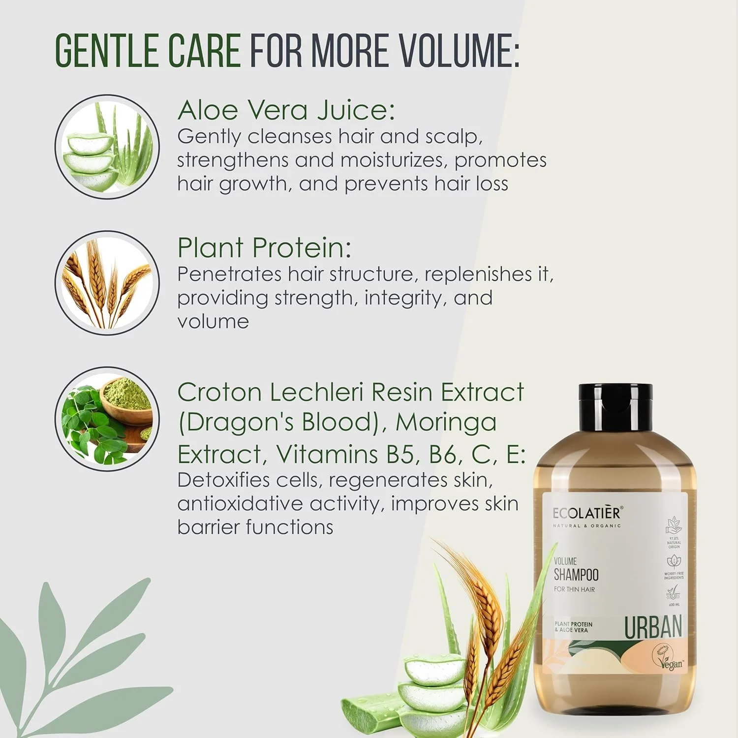 شامپو حجم دهنده موهای نازک اکولاتیه سری Urban، ۶۰۰ میلی لیتر، مواد طبیعی برای پرپشتی بیشتر و ظاهری سالم