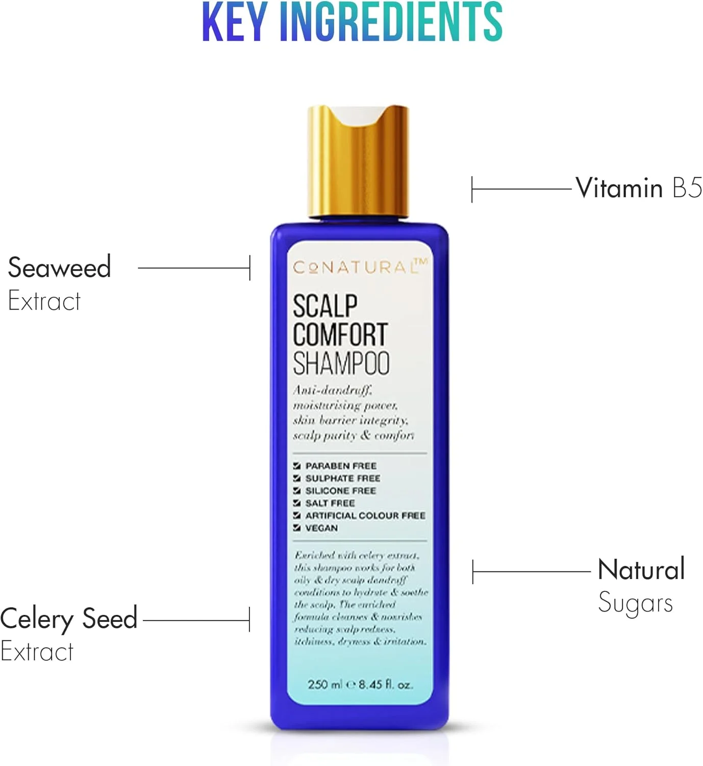 شامپو ضد شوره سر کاننچرال مدل Scalp Comfort حجم 250 میلی لیتر | بدون سولفات، شامپو موی وگان با عصاره دانه کرفس | آبرسانی عمیق و محافظت از پوست سر برای پوست سر چرب و خشک