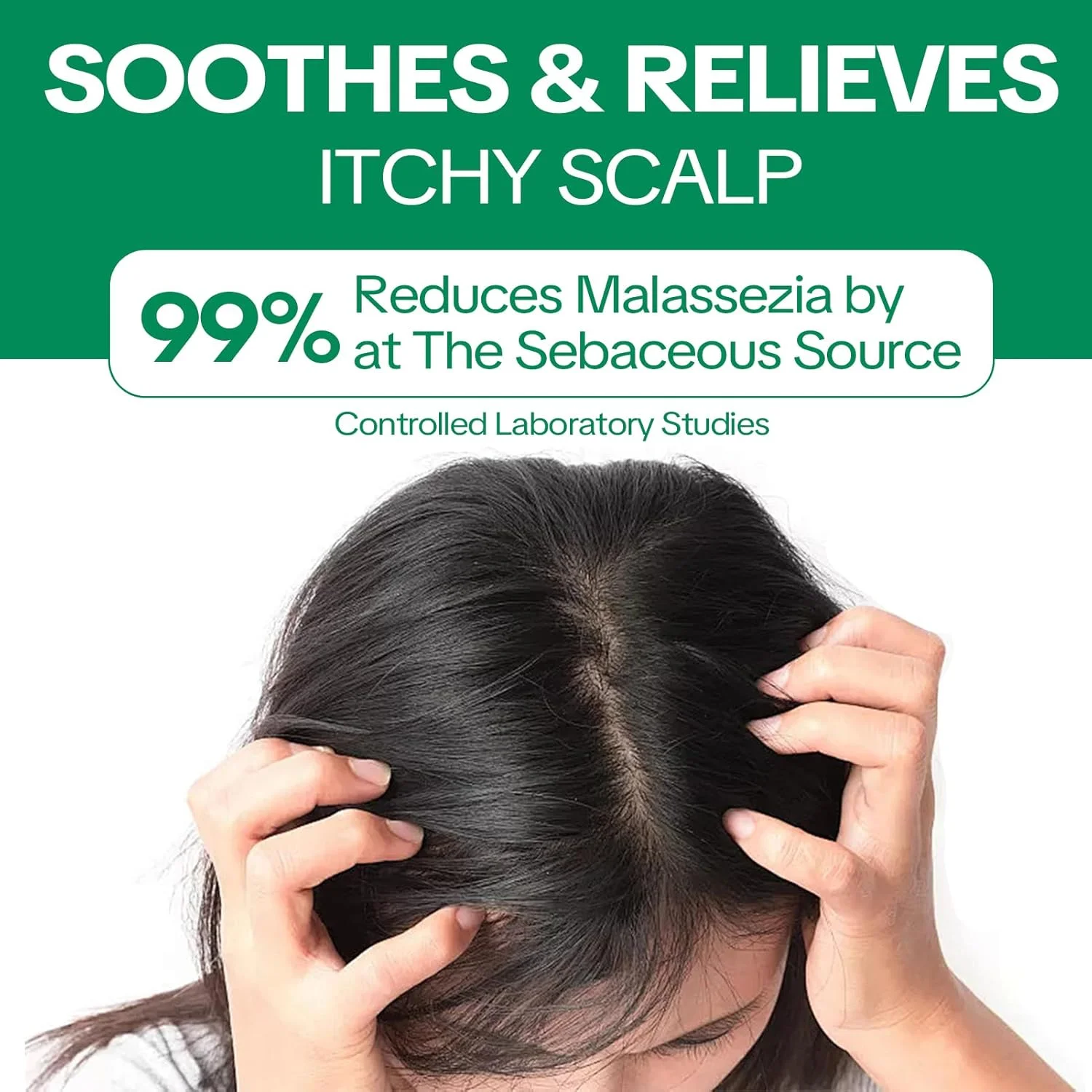 شامپو ضد شوره سر CNMOFAXIN حجم 480 میلی لیتر - تسکین دهنده پوست سر و کنترل کننده پوسته با عصاره های گیاهی - پاک کننده عمیق و مراقبت از سبوم - برای پوست سر چرب موهای خشک و پوست سر خارش دار - محلول مراقبت از موی مناسب برای همه شامپو ضد شوره سر CNMOFAXIN حجم 480 میلی لیتر - تسکین دهنده پوست سر و کنترل کننده پوسته با عصاره های گیاهی - پاک کننده عمیق و مراقبت از سبوم - برای پوست سر چرب موهای خشک و پوست سر خارش دار - محلول مراقبت از موی مناسب برای همه