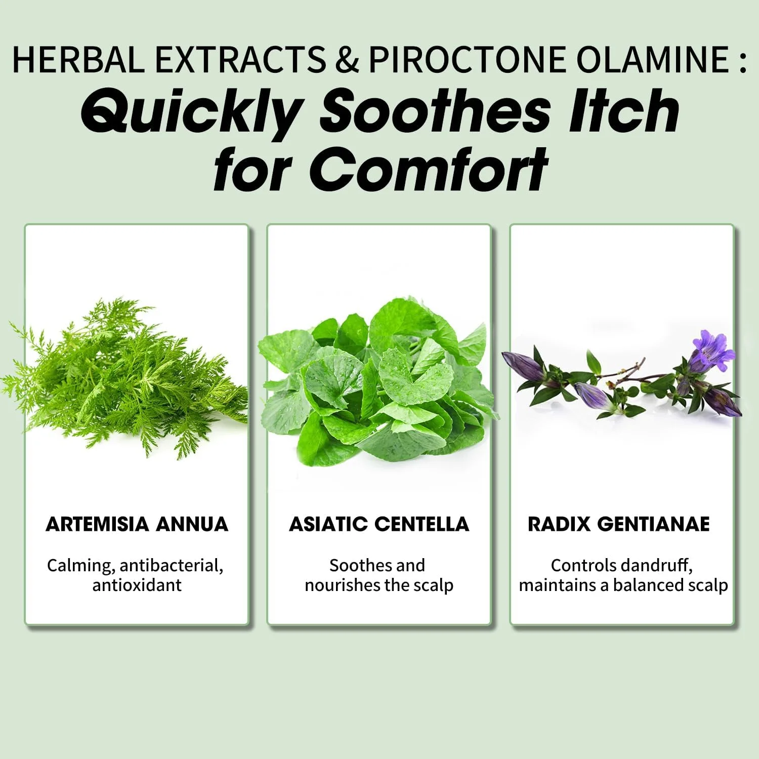 شامپو ضد شوره سر CNMOFAXIN حجم 480 میلی لیتر - تسکین دهنده پوست سر و کنترل کننده پوسته با عصاره های گیاهی - پاک کننده عمیق و مراقبت از سبوم - برای پوست سر چرب موهای خشک و پوست سر خارش دار - محلول مراقبت از موی مناسب برای همه شامپو ضد شوره سر CNMOFAXIN حجم 480 میلی لیتر - تسکین دهنده پوست سر و کنترل کننده پوسته با عصاره های گیاهی - پاک کننده عمیق و مراقبت از سبوم - برای پوست سر چرب موهای خشک و پوست سر خارش دار - محلول مراقبت از موی مناسب برای همه