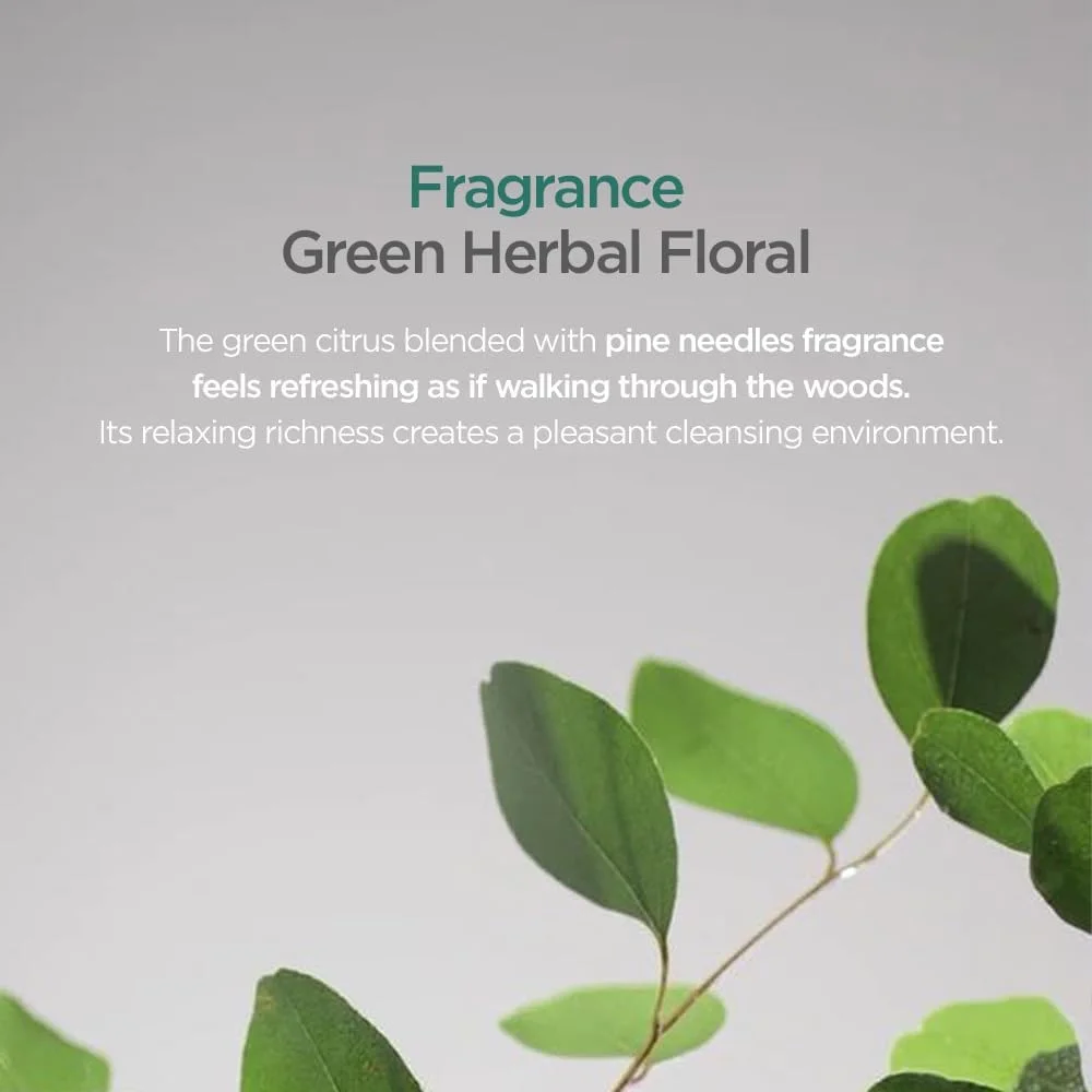 شامپو متعادل کننده آ یونچه فرش 330 میلی لیتر [مخصوص پوست سر چرب] | پاک کننده چربی و سبوم اضافی | تقویت و محافظت از ریشه مو | شامپو ضد ریزش و ضد نازک شدن مو | برند سالن کره ای