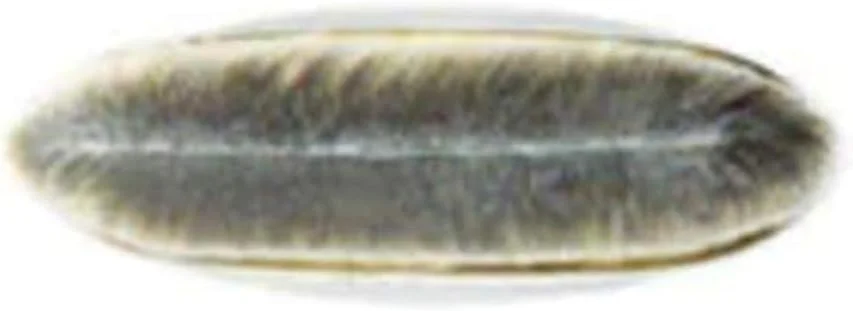 براش مک 190 آرایشی، براش کرم پودر 1 1/4