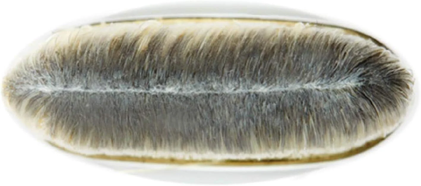 براش کرم پودر مک 190