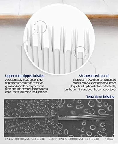 مسواک نرم کریستال کوچک کنت، پاک کننده عمیق دندان ها و لثه های حساس برای بزرگسالان و نوجوانان (سایز کوچک) - (مجموعه 5 عددی) مسواک نرم کریستال کوچک کنت، پاک کننده عمیق دندان ها و لثه های حساس برای بزرگسالان و نوجوانان (سایز کوچک) - (مجموعه 5 عددی)
