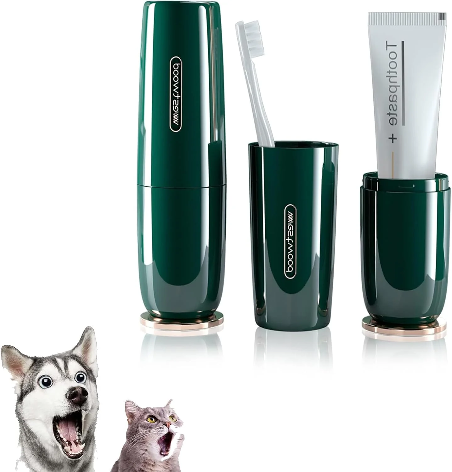 جا مسواکی مسافرتی پلاستیکی سبز لوکس KASTWAVE با درب، لیوان مسواک مسافرتی قابل حمل، محفظه نگهداری برای مسافرت، خانه، مدرسه، کمپینگ