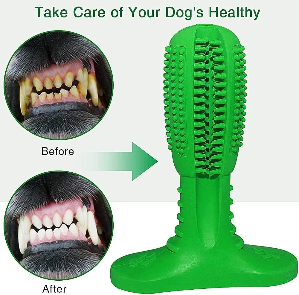 اسباب بازی سگ KASTWAVE، مسواک چوبی سگ، جویدنی سگ برای سگ های بزرگ و متوسط، مراقبت از دندان توله سگ، تمیز کردن موثر دندان های سگ، ماساژور غیر سمی از جنس لاستیک طبیعی (سبز، M)