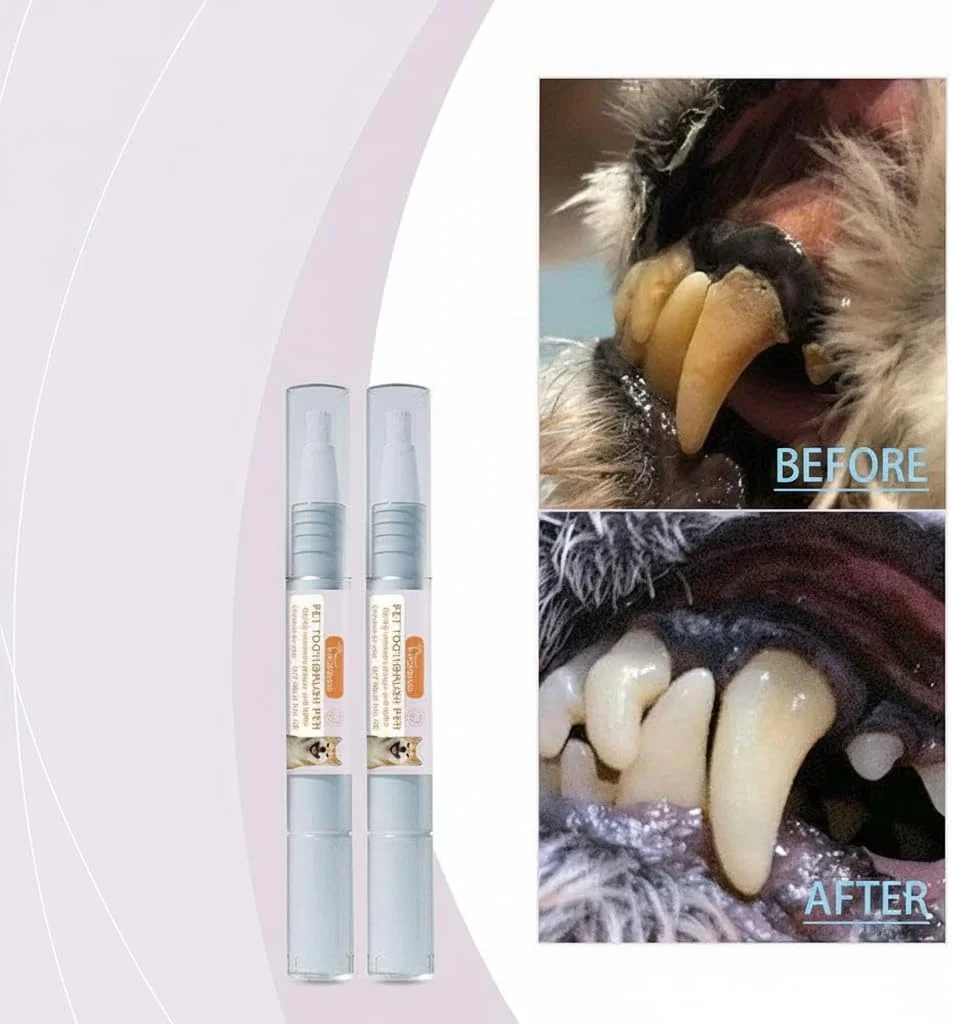 قلم مسواک حیوانات خانگی 2 عددی برای سگ و گربه - از بین برنده طبیعی جرم دندان بر پایه گیاهی، سفید کننده دندان، پاک کننده پلاک، خوشبو کننده دهان، کیت مراقبت از دندان با کاربری آسان برای بهداشت دهان و دندان حیوانات خانگی