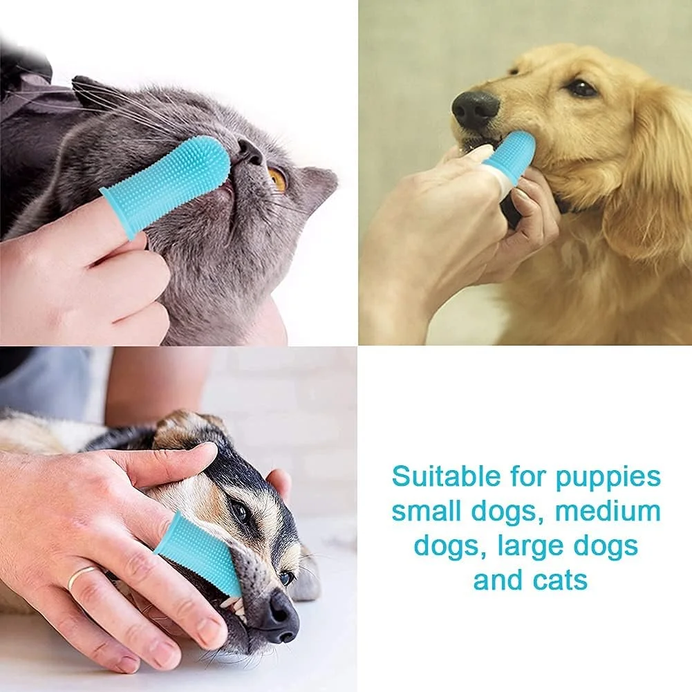 مسواک انگشتی سگ KASTWAVE، 2 عددی، مسواک سیلیکونی 360 درجه حیوانات خانگی، مسواک سگ و گربه، با جعبه نگهداری، دارای برس های فراگیر، سیلیکون غیر سمی، تمیز کردن آسان (آبی)