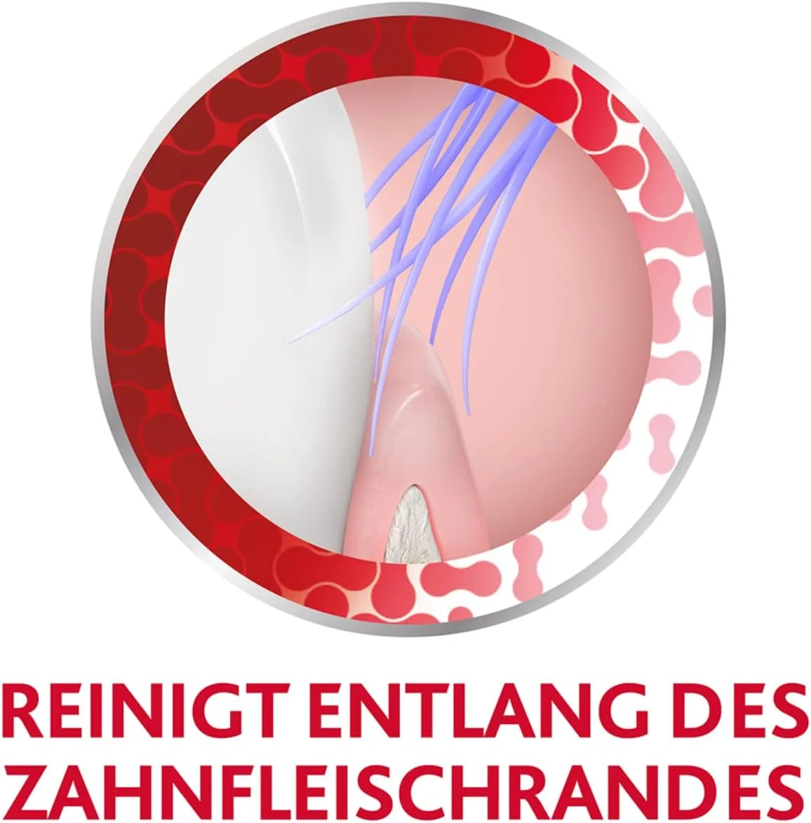 مسواک محافظت کامل پارودونتکس - 1 عدد - دندان های قوی و لثه های سالم - نرم مسواک محافظت کامل پارودونتکس - 1 عدد - دندان های قوی و لثه های سالم - نرم