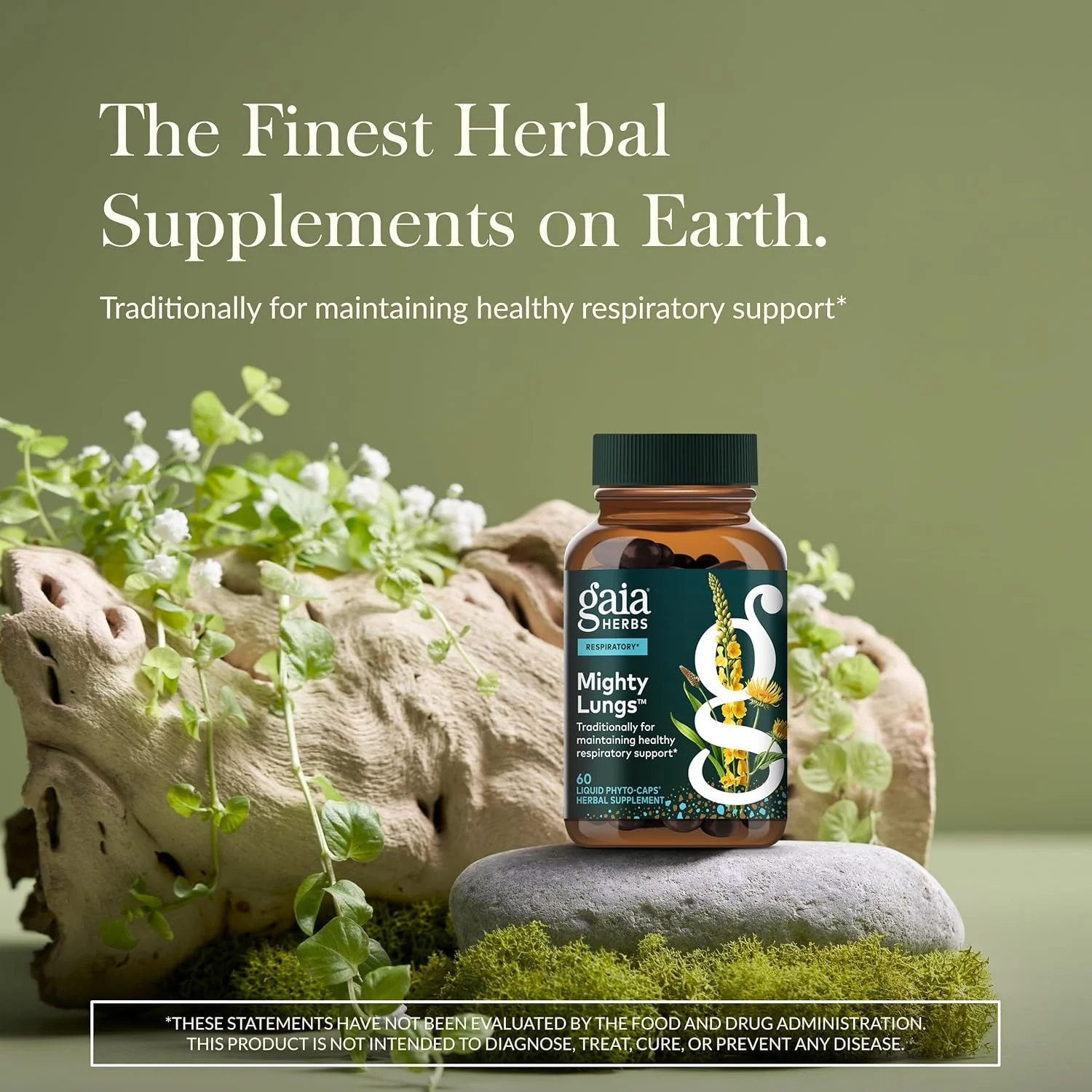 کپسول گیاهی تقویت ریه گایا هربز Mighty Lungs - مکمل حمایت از ریه برای کمک به حفظ سلامت کلی ریه و تنفس* - حاوی گیاهان خرگوشک، بارهنگ، شیساندرا و اِلِکامپان - 60 عدد کپسول فیتو مایع وگان (مناسب برای 30 روز) کپسول گیاهی تقویت ریه گایا هربز Mighty Lungs - مکمل حمایت از ریه برای کمک به حفظ سلامت کلی ریه و تنفس* - حاوی گیاهان خرگوشک، بارهنگ، شیساندرا و اِلِکامپان - 60 عدد کپسول فیتو مایع وگان (مناسب برای 30 روز)