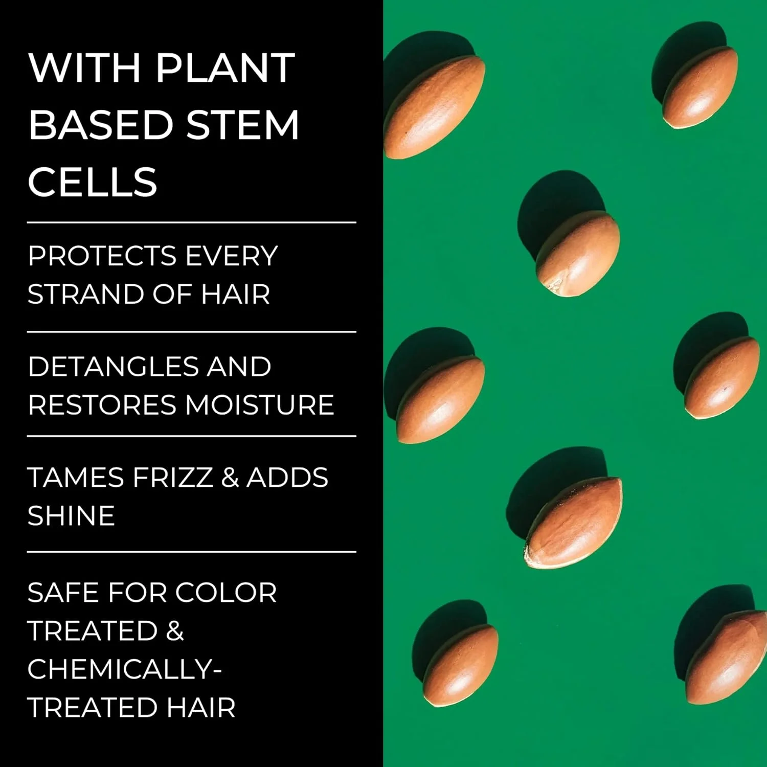 شامپو تقویت کننده و رشد مو Alevai Stem+ حاوی بیوتین | ترمیم کننده، تقویت کننده و مغذی | ایمن برای موهای رنگ شده و تحت درمان شیمیایی | بدون سولفات | شامپو ضخیم کننده مو برای جلوگیری از ریزش مو شامپو تقویت کننده و رشد مو Alevai Stem+ حاوی بیوتین | ترمیم کننده، تقویت کننده و مغذی | ایمن برای موهای رنگ شده و تحت درمان شیمیایی | بدون سولفات | شامپو ضخیم کننده مو برای جلوگیری از ریزش مو