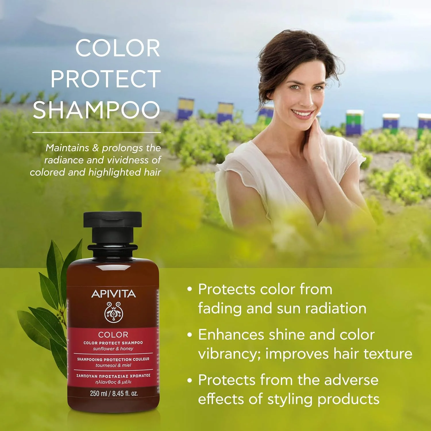 APIVITA Color Protect Shampoo 8.45 fl.oz. | Natural Shampoo with Sunflower & Honey - Gentle Hair Care for Damaged & Color Treated Hair | Enhances Shine and Color Vibrancy APIVITA Color Protect Shampoo 8.45 fl.oz. | Natural Shampoo with Sunflower & Honey - Gentle Hair Care for Damaged & Color Treated Hair | Enhances Shine and Color Vibrancy