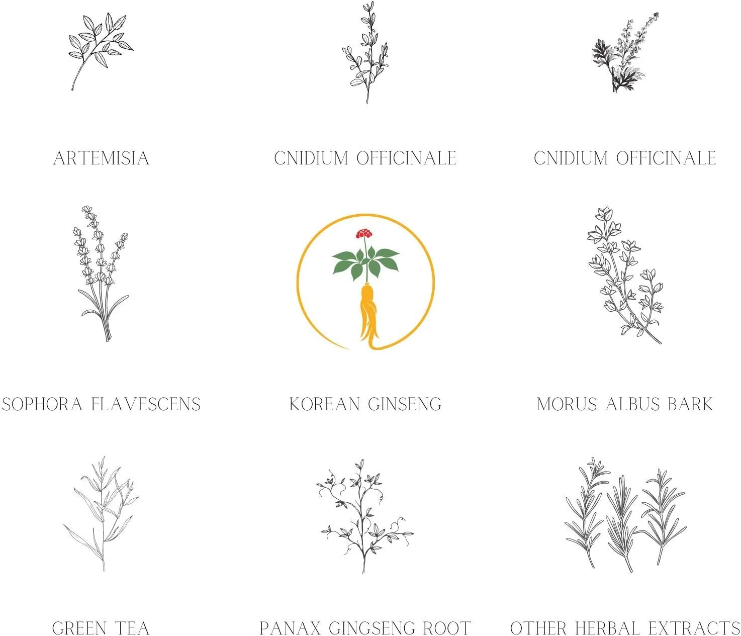 دائنگ گی میو ری - کی گلد - شامپو و نرم کننده پریمیوم مناسب برای جلوگیری و درمان ریزش مو، موهای نازک و موهای سفید، شامپو گیاهی دارویی، کاملا طبیعی، برند شماره 1 مو در کره