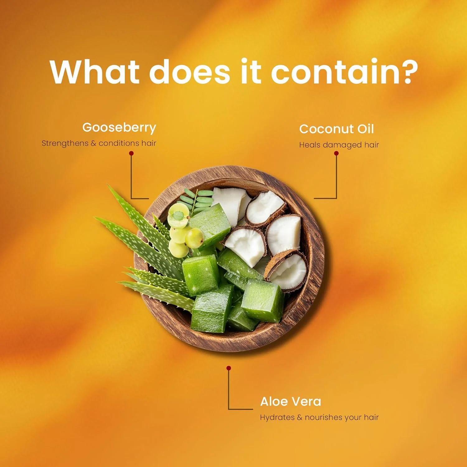 شامپو پروتئینه داتری دیدی | شامپو بدون سولفات برای تغذیه موهای آسیب دیده | بهترین شامپو برای رشد مو (100 میلی لیتر - بسته 2 عددی) شامپو پروتئینه داتری دیدی | شامپو بدون سولفات برای تغذیه موهای آسیب دیده | بهترین شامپو برای رشد مو (100 میلی لیتر - بسته 2 عددی)