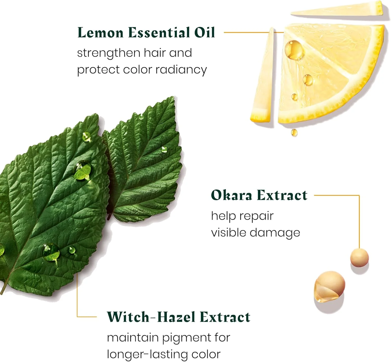 شامپو محافظ رنگ مو رنه فورترر اوکارا کالر، آیین درخشش رنگ، 50 میلی لیتر