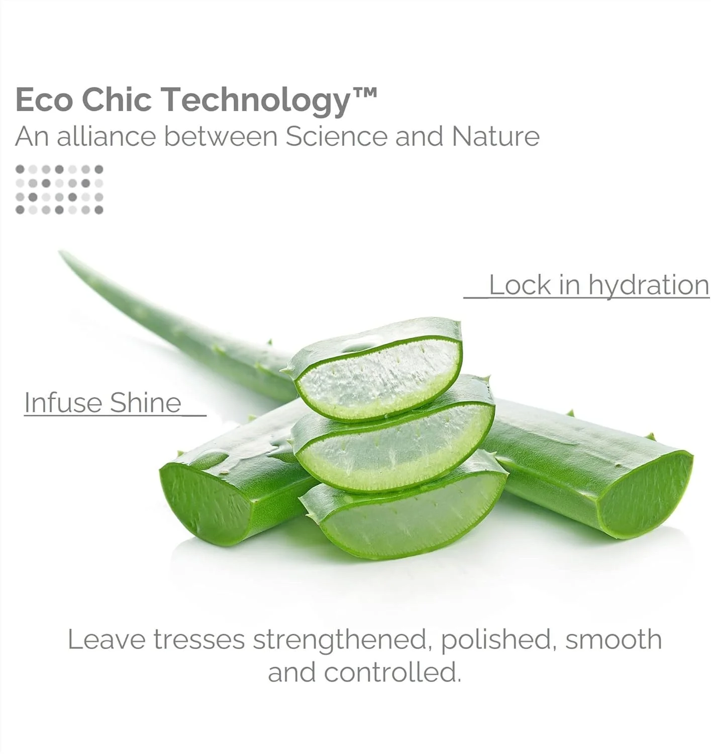 Giovanni Eco Chic Smooth as Silk Shampoo - Deep Moisturizing and Frizz Calming Formula, 8.5 Ounce (Pack of 1)