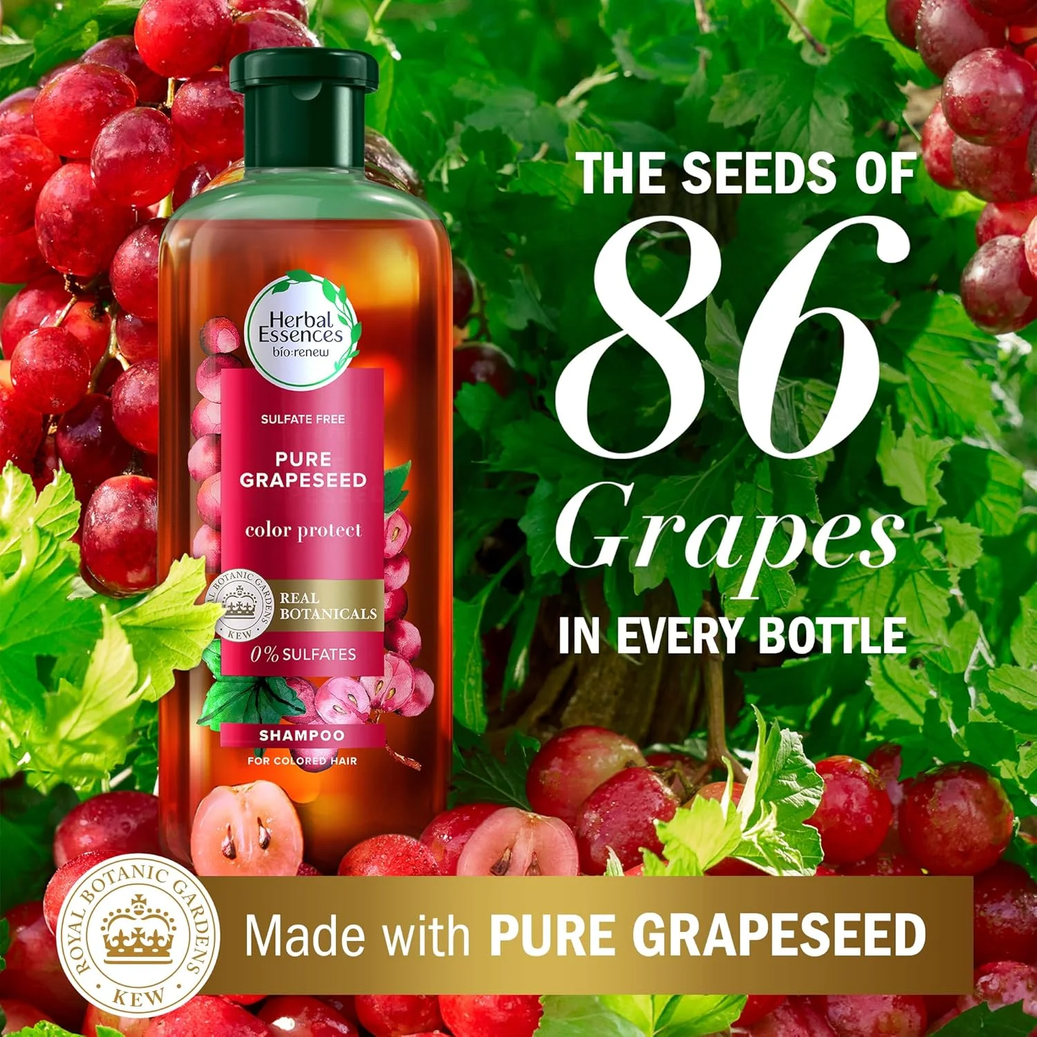 شامپو محافظ رنگ مو بدون سولفات هربال اسنسز، حاوی عصاره خالص دانه انگور غنی از آنتی اکسیدان، 400 میلی لیتر شامپو محافظ رنگ مو بدون سولفات هربال اسنسز، حاوی عصاره خالص دانه انگور غنی از آنتی اکسیدان، 400 میلی لیتر