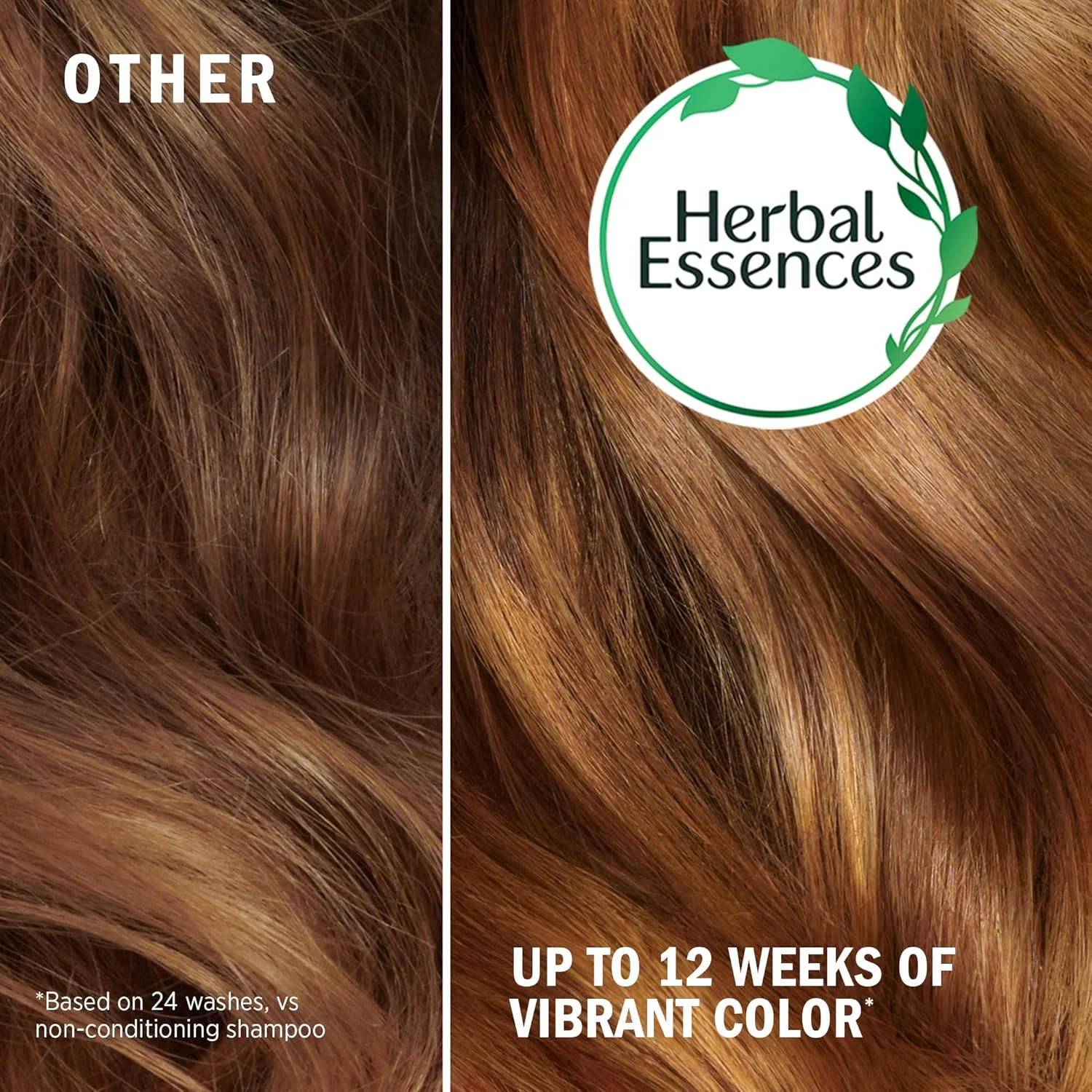 شامپو محافظ رنگ مو بدون سولفات هربال اسنسز، حاوی عصاره خالص دانه انگور غنی از آنتی اکسیدان، 400 میلی لیتر شامپو محافظ رنگ مو بدون سولفات هربال اسنسز، حاوی عصاره خالص دانه انگور غنی از آنتی اکسیدان، 400 میلی لیتر