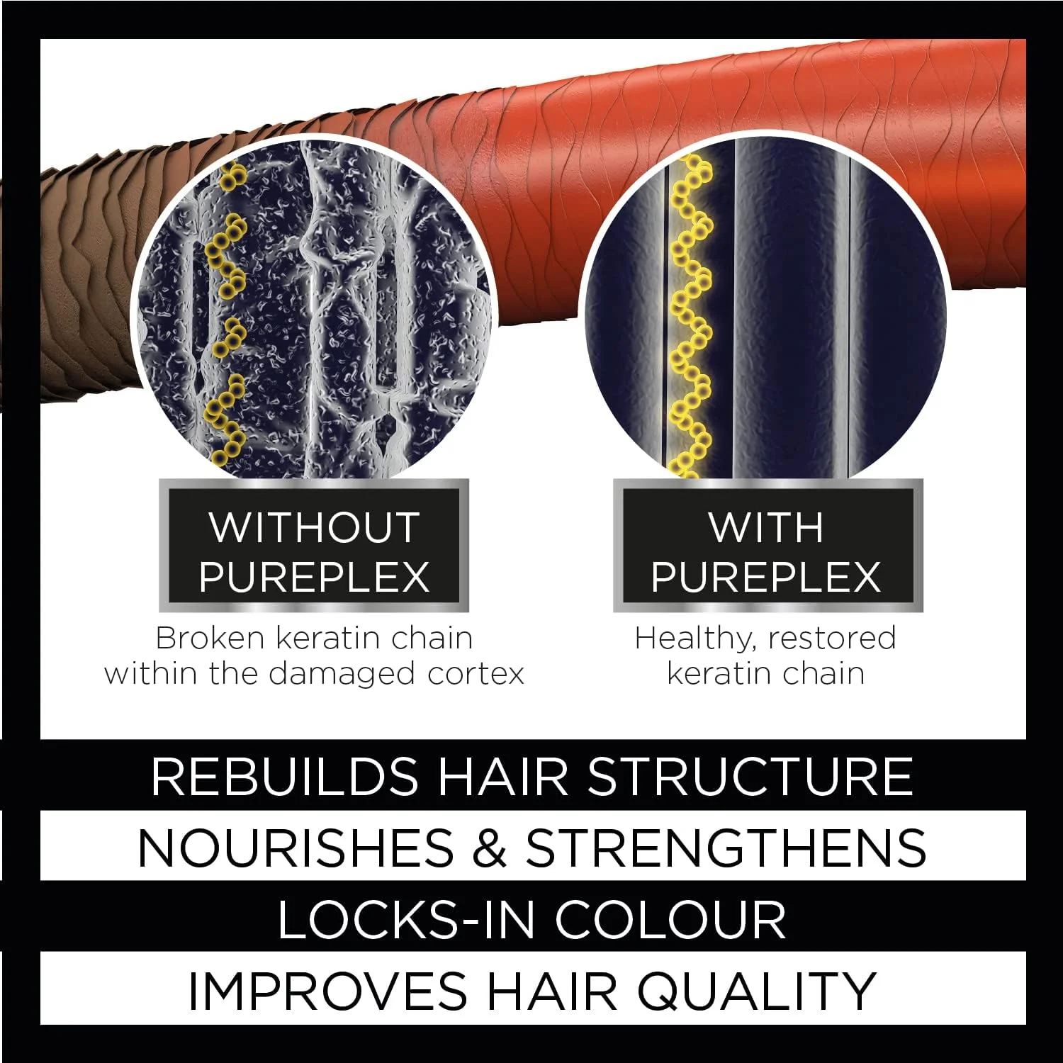 شامپو بازسازی کننده پیوند مو نایت اند ویلسون PurePlex، مناسب برای انواع مو، فرمول حرفه ای تغذیه کننده و بازسازی کننده مو از درون، محافظت و ترمیم کننده، 200 میلی لیتر.