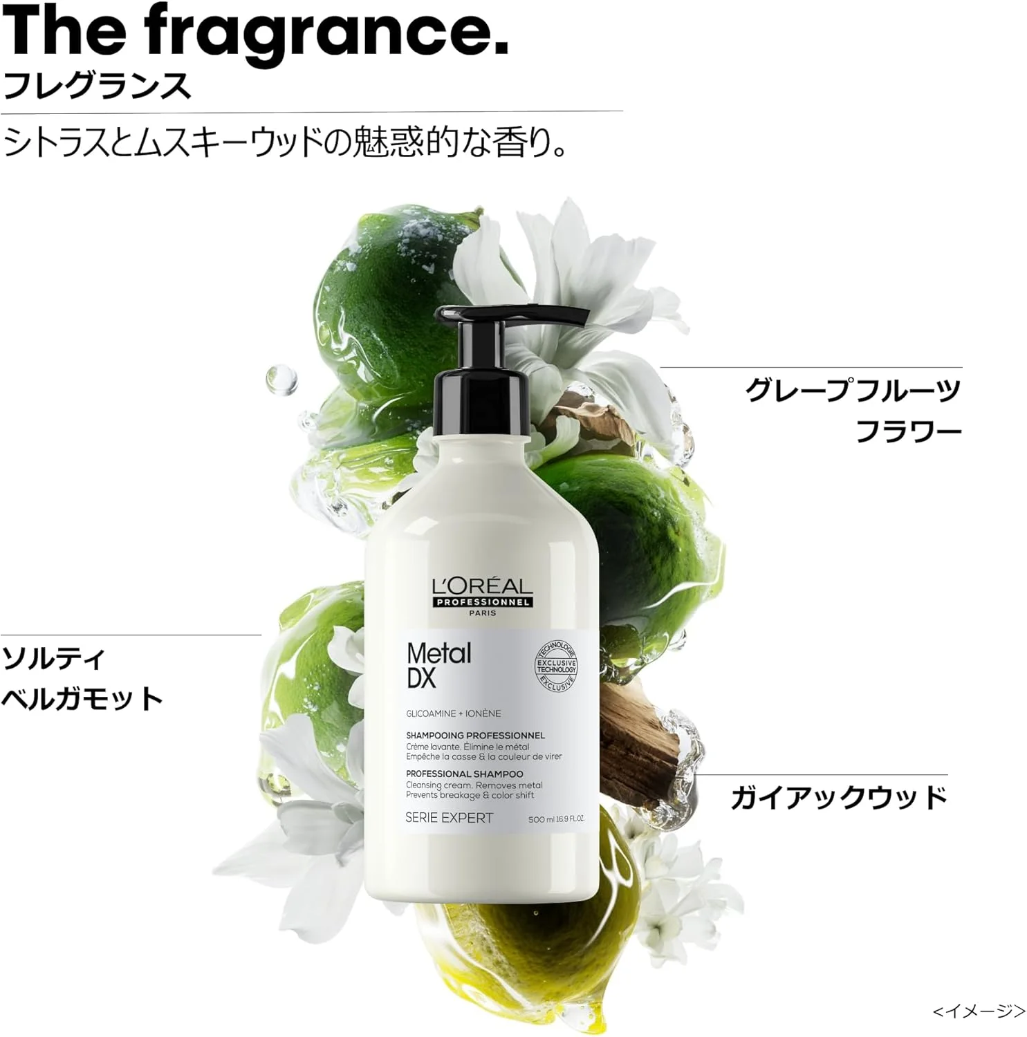 شامپو مو لورآل پروفشنال مناسب موهای رنگ شده و آسیب دیده، رنگ و درخشش ماندگار، سری اکسپرت، شامپو متال DX، ۵۰۰ میلی لیتر شامپو مو لورآل پروفشنال مناسب موهای رنگ شده و آسیب دیده، رنگ و درخشش ماندگار، سری اکسپرت، شامپو متال DX، ۵۰۰ میلی لیتر