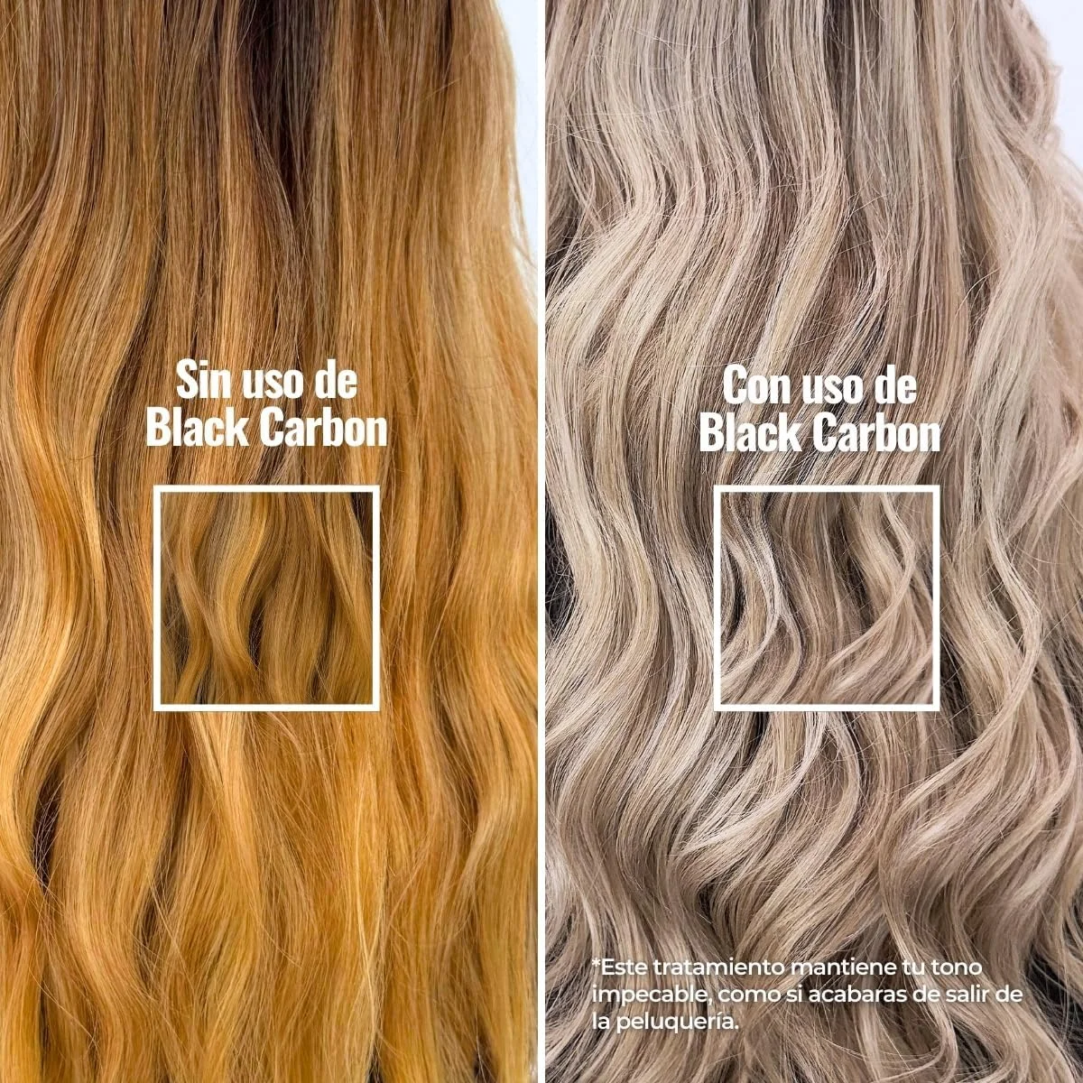 شامپو کربن سیاه abril et nature برای موهای زرد، رنگ شده یا خاکستری، محافظت و ترمیم کننده، رطوبت و نرمی و درخشندگی ماندگار، 250 میلی لیتر شامپو کربن سیاه abril et nature برای موهای زرد، رنگ شده یا خاکستری، محافظت و ترمیم کننده، رطوبت و نرمی و درخشندگی ماندگار، 250 میلی لیتر