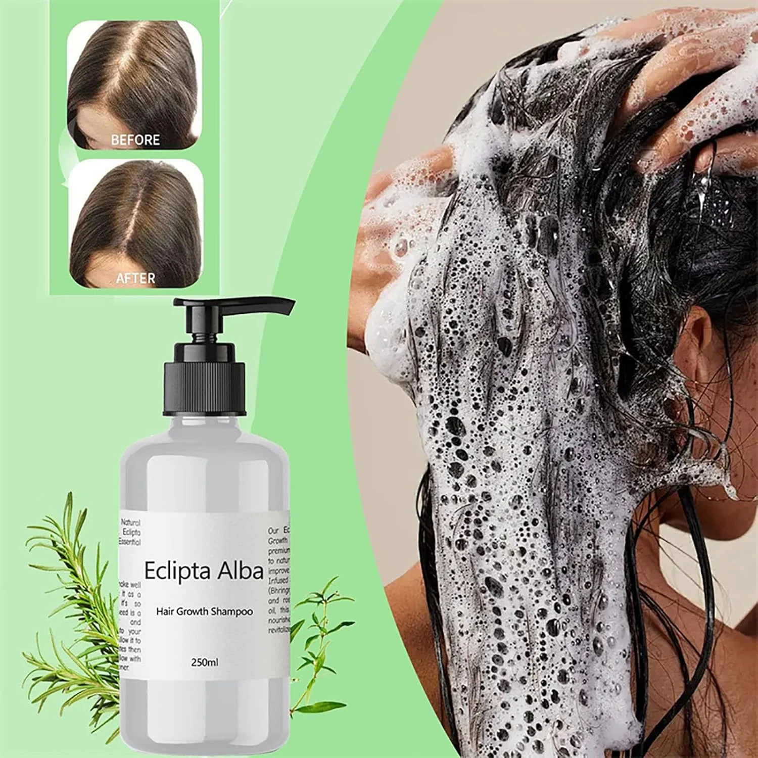 شامپو رشد مو اکلیپتا آلبا، شامپو اکلیپتا آلبا، روغن اکلیپتا آلبا، شامپو برینگراج ارگانیک طبیعی، شامپو ضخیم کننده ضد ریزش مو برای زنان و مردان 250 میلی لیتر