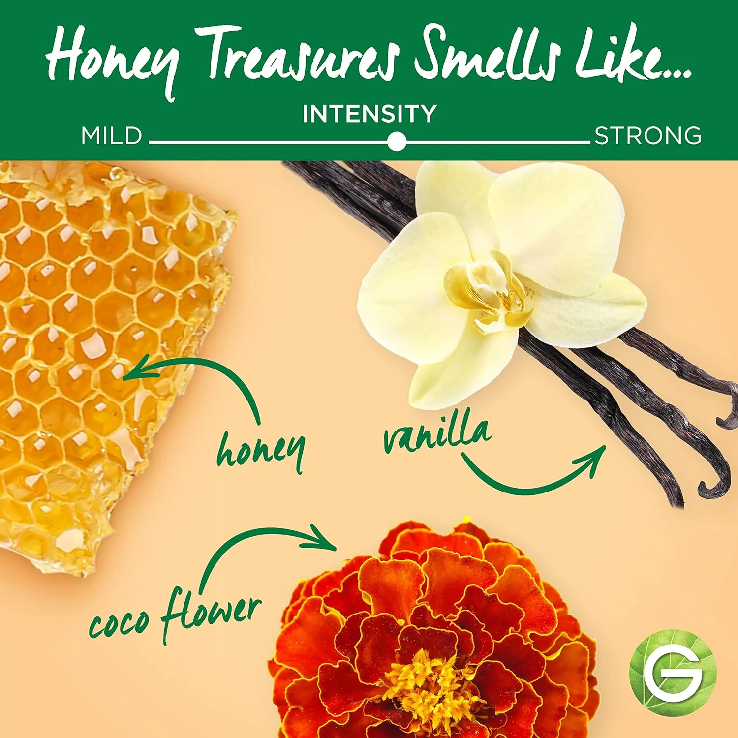 شامپو بار ترمیم کننده موهای خشک و آسیب دیده Garnier Whole Blends Honey Treasures، بسته بندی بدون پلاستیک، فاقد مواد نگهدارنده، سیلیکون، صابون و رنگ، حاوی عسل و موم زنبور عسل با منشاء پایدار، 2 اونس شامپو بار ترمیم کننده موهای خشک و آسیب دیده Garnier Whole Blends Honey Treasures، بسته بندی بدون پلاستیک، فاقد مواد نگهدارنده، سیلیکون، صابون و رنگ، حاوی عسل و موم زنبور عسل با منشاء پایدار، 2 اونس