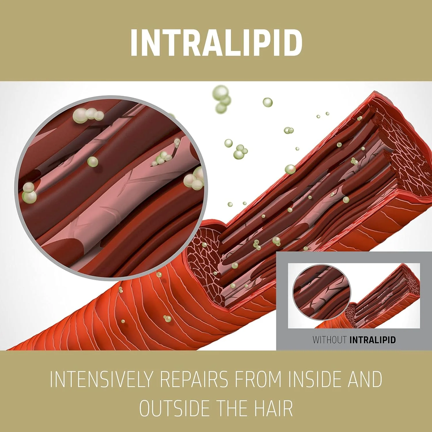 شامپو گلدول، 400 گرم، 4021609061441