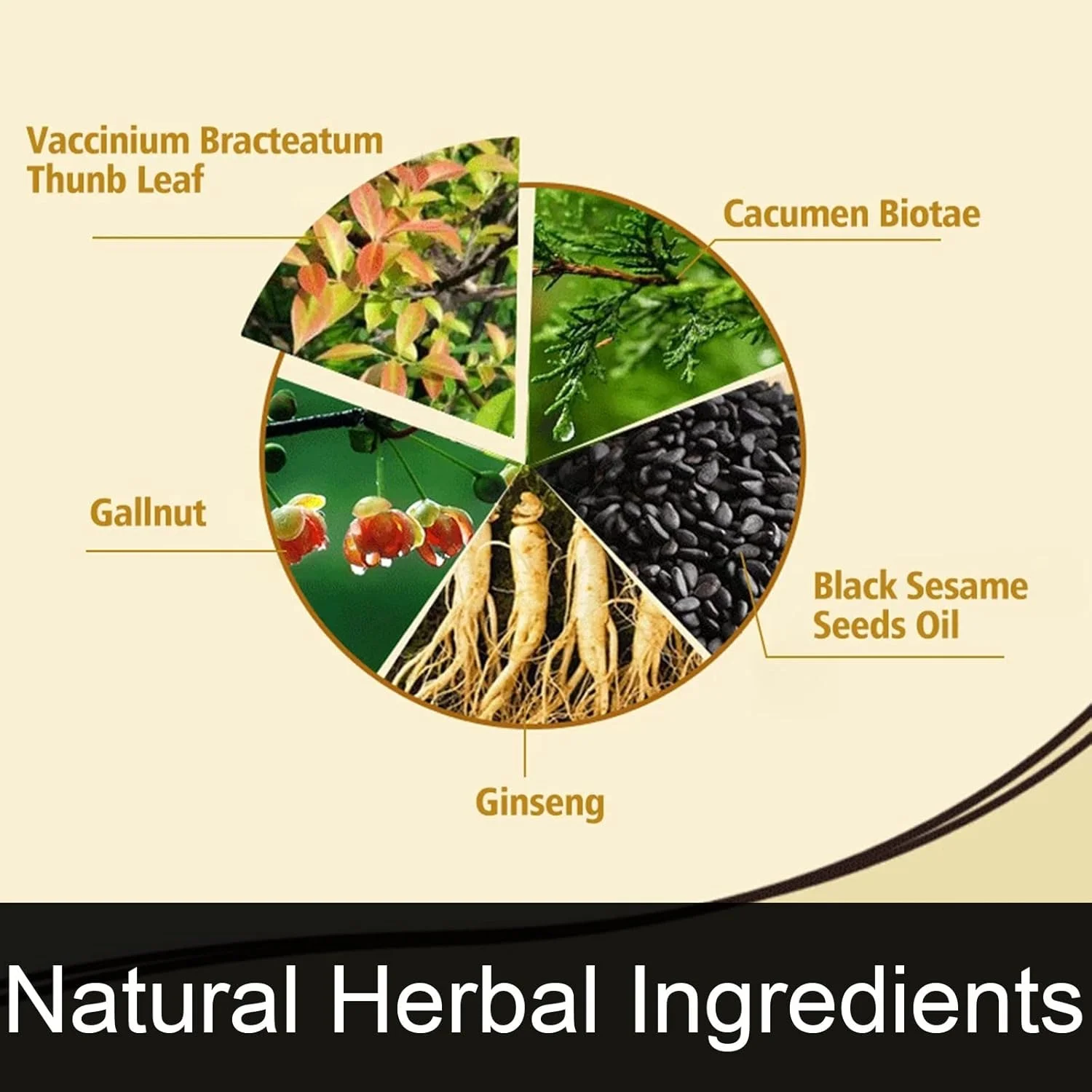 شامپو رنگ موی مشکی مِیدو هانوکا برای موهای سفید، شامپو رنگ مو برای زنان و مردان 3 در 1 - پوشش 100% موهای سفید - شامپو رنگ مو با مواد گیاهی در عرض چند دقیقه 500 میلی لیتر