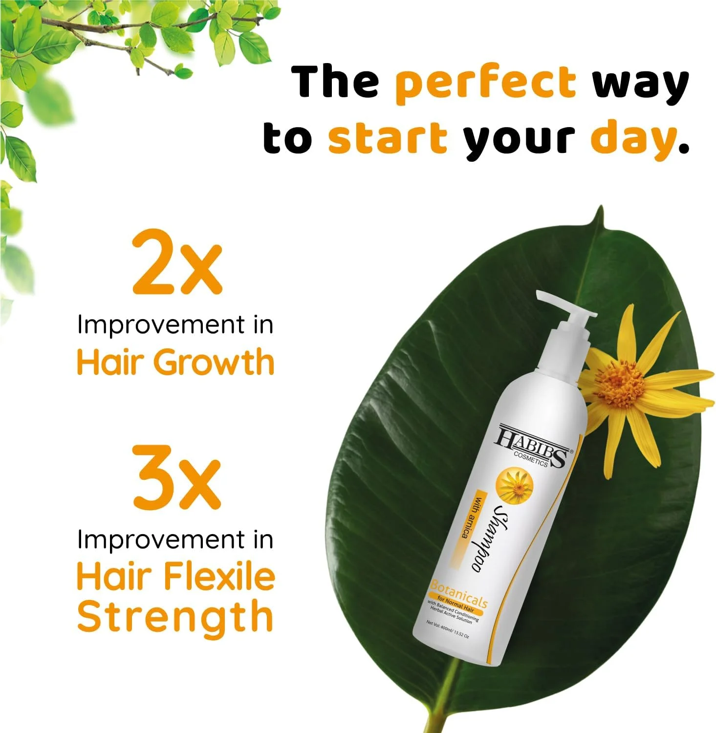 شامپو موی معمولی حاوی آرنیکا حبیبز کازمتیکس، ترمیم کننده آسیب دیدگی، جلوگیری از شکستگی و ریزش مو (400 میلی لیتر)