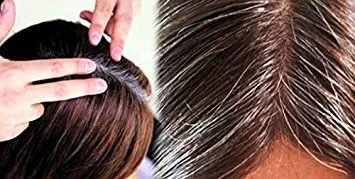 شامپو گریسی ارگانوگال | شامپو تیره کننده مو با عصاره کاکتوس، محصول تیره کننده مو برای موهای خاکستری؛ 400 میلی لیتر