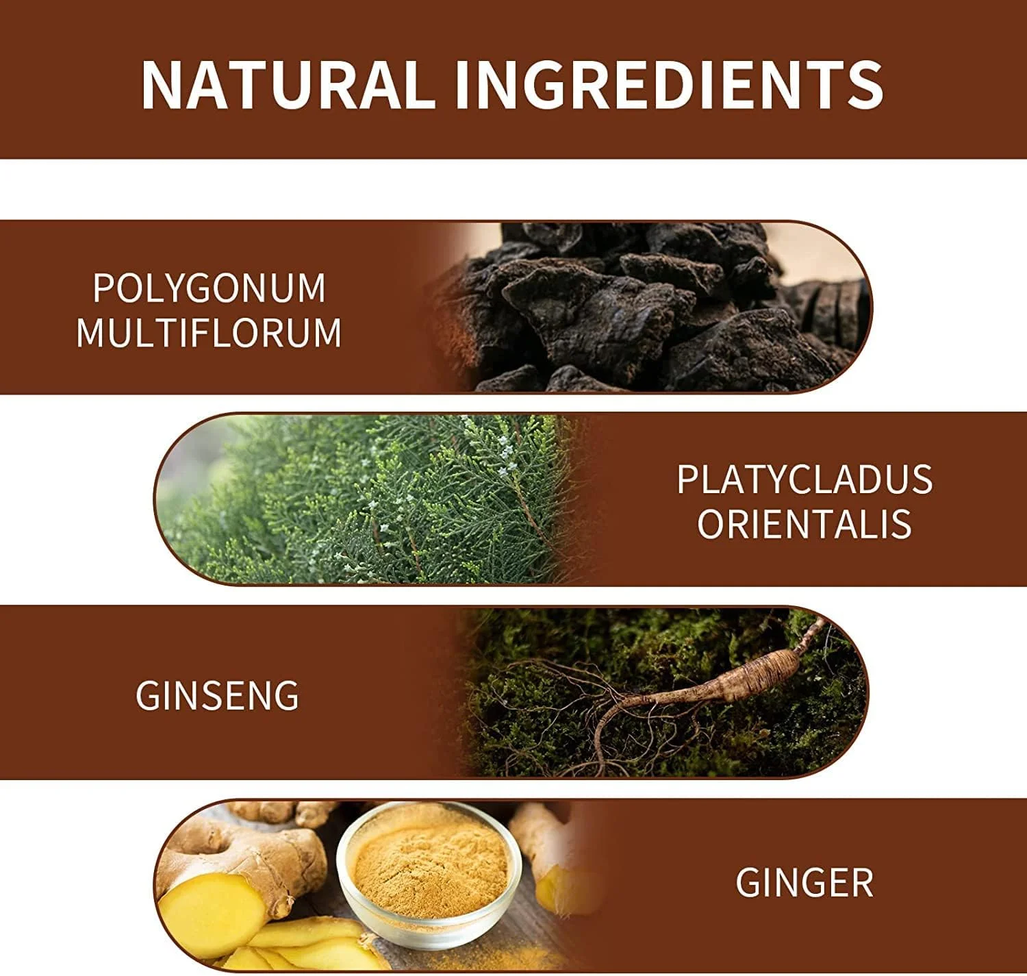 شامپو بار معکوس کننده خاکستری ارگانیک XTRANSF، شامپو بار تیره کننده مو، صابون شامپو اسانس تیره کننده مو، برای کمک به توقف ریزش مو، درمان ریزش مو، برای آقایان و بانوان (3 عدد)