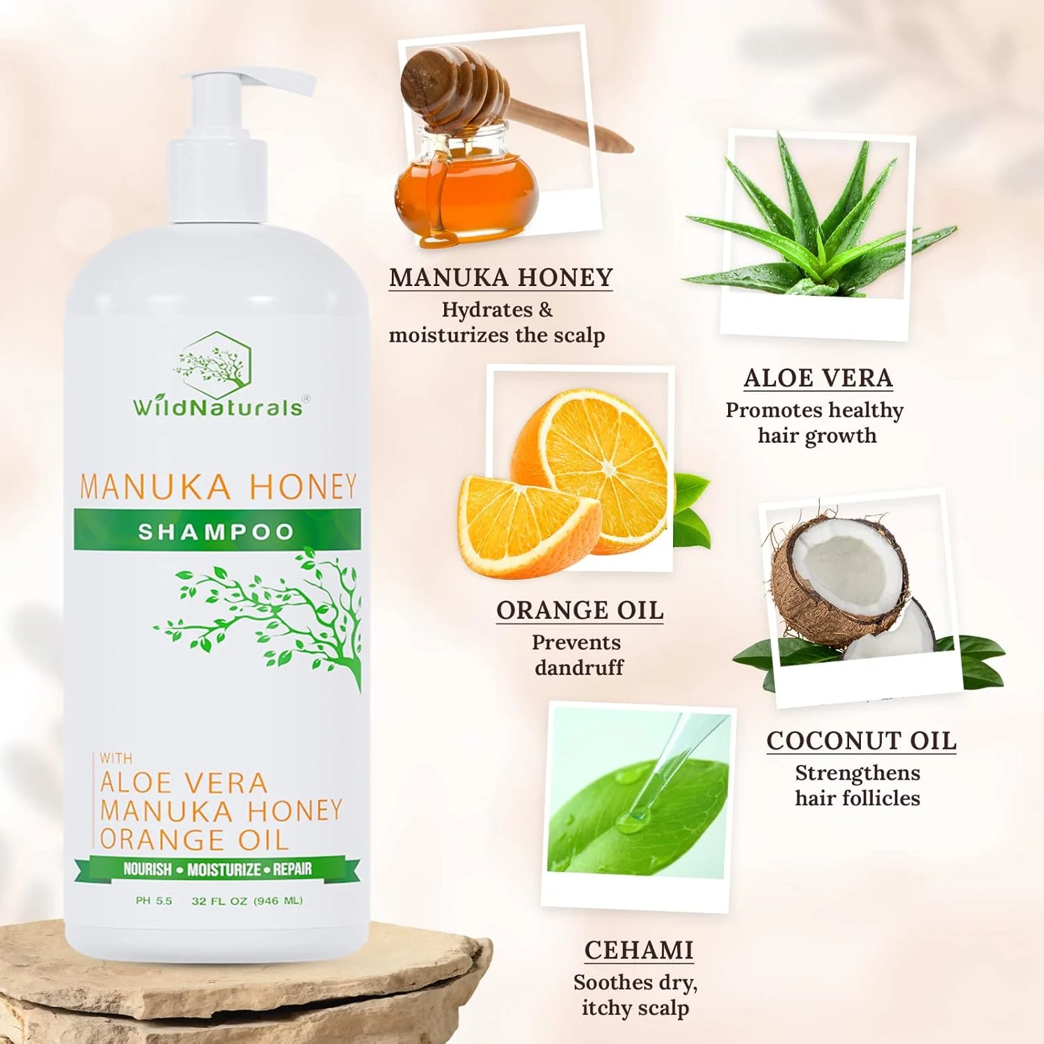 شامپو بدون سولفات Wild Naturals: حاوی عسل مانوکا + آلوئه ورا، برای ریزش مو، نازک شدن مو و خارش پوست سر خشک. ضد شوره، مرطوب کننده، 98% طبیعی، 80% فرمول گیاهی ارگانیک التیام بخش