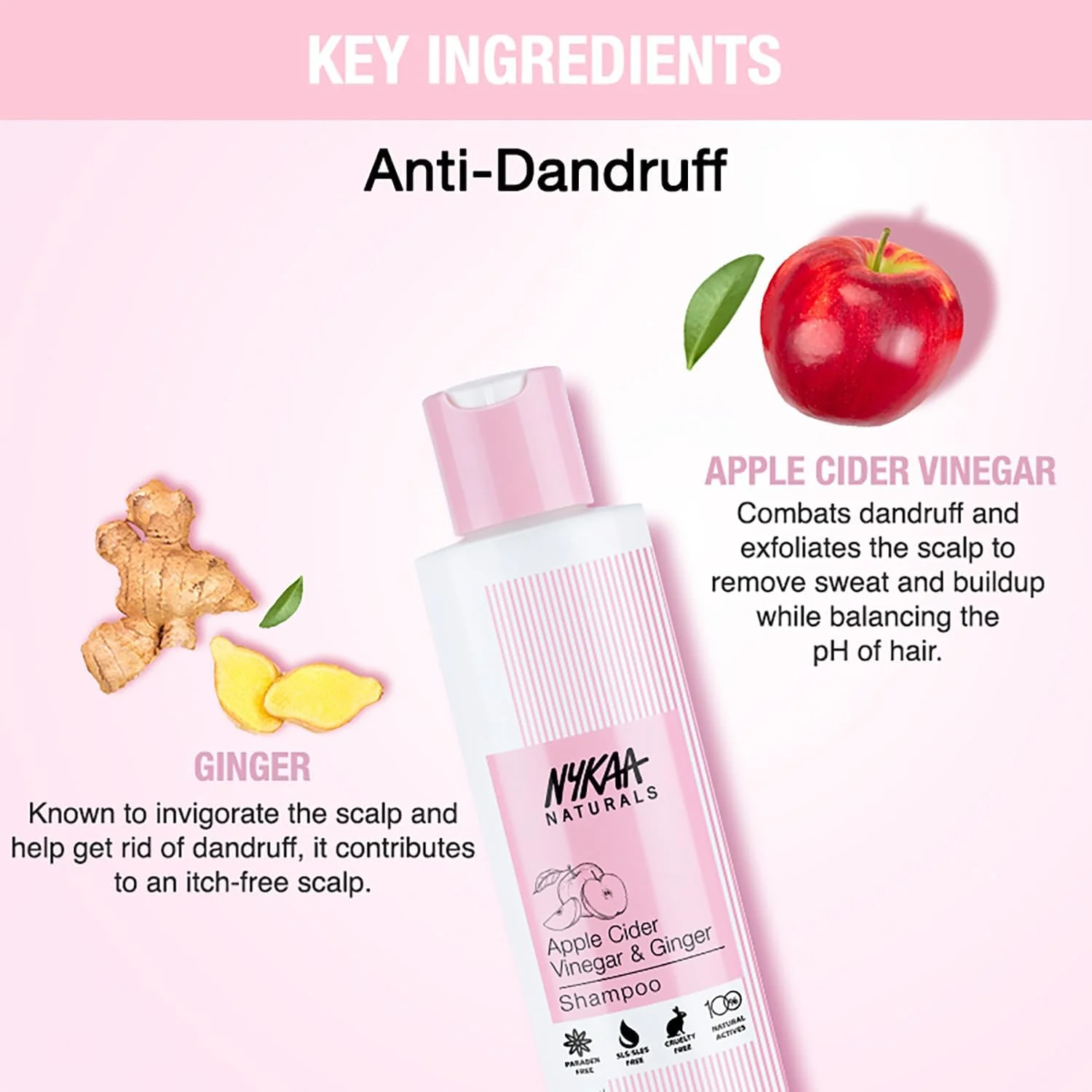 شامپو ضد شوره سر سرکه سیب و زنجبیل Nykaa Naturals برای آقایان و بانوان حاوی روغن درخت چای - بدون سولفات (200 میلی لیتر) شامپو ضد شوره سر سرکه سیب و زنجبیل Nykaa Naturals برای آقایان و بانوان حاوی روغن درخت چای - بدون سولفات (200 میلی لیتر)