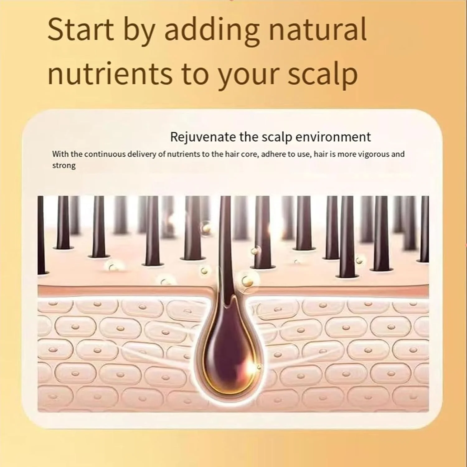 شامپو ضد ریزش مو و کنترل چربی Beautykomi مدل Odipie Beautykomi، قطره ضد ریزش موی گیاهی Beautykomi، نرم کننده مو ضد ریزش مو (2 عدد)