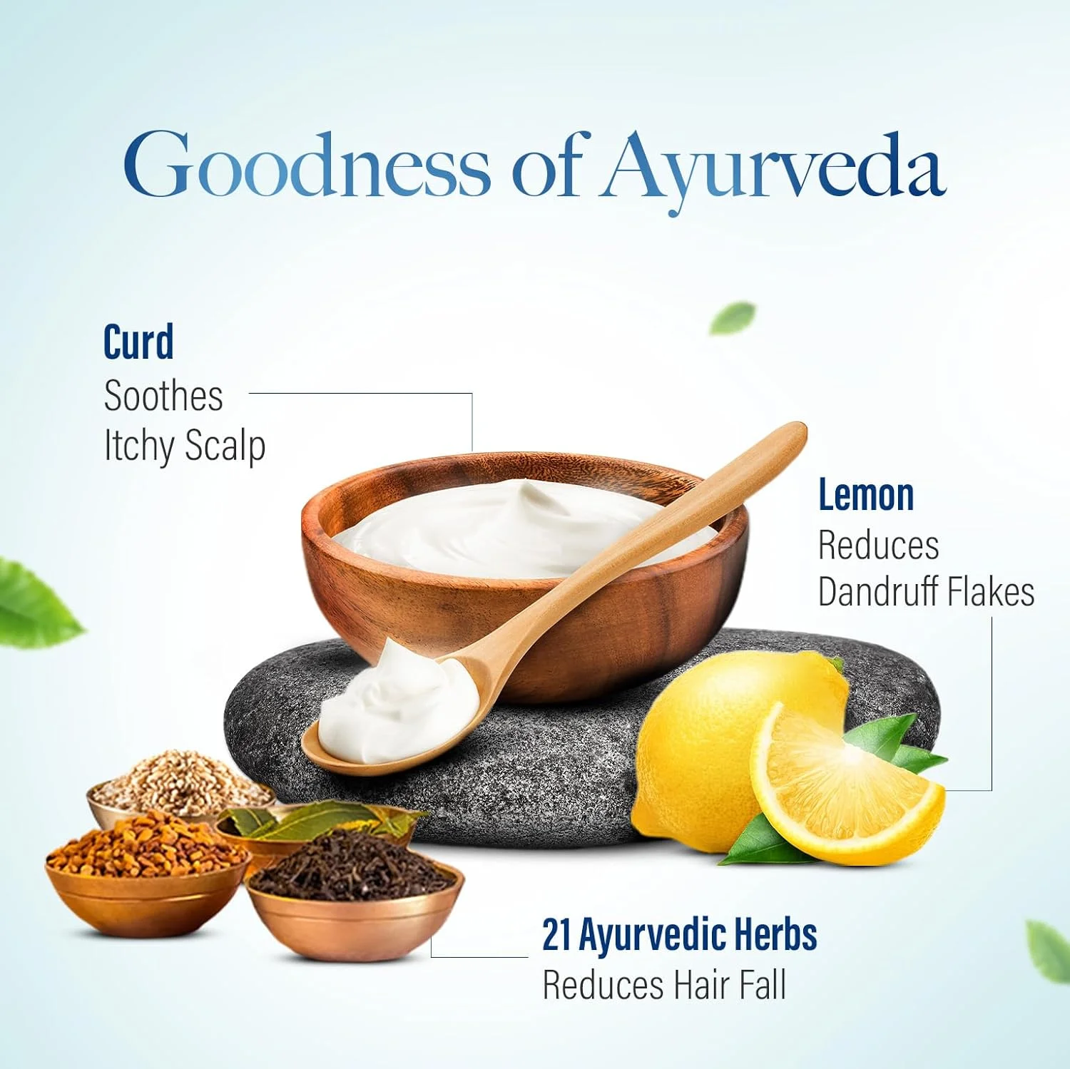 شامپو ضد شوره آیورودا کش کینگ، تا 100% بدون شوره، کاهش ریزش مو، 21 ماده طبیعی با خواص ماست، لیمو و چریش، مناسب برای آقایان و بانوان، 340 میلی لیتر شامپو ضد شوره آیورودا کش کینگ، تا 100% بدون شوره، کاهش ریزش مو، 21 ماده طبیعی با خواص ماست، لیمو و چریش، مناسب برای آقایان و بانوان، 340 میلی لیتر