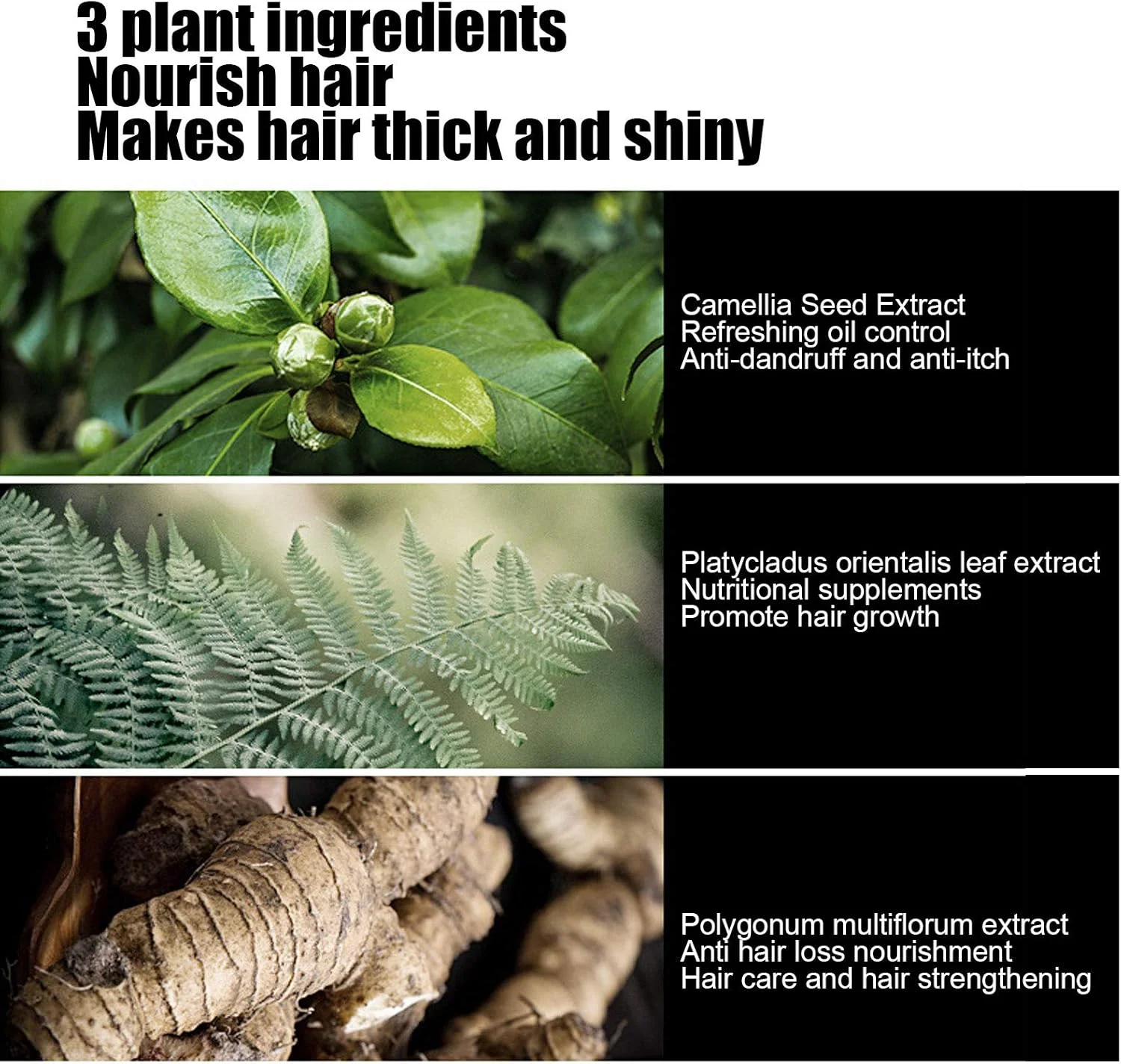 شامپو کنترل چربی 300 میلی لیتری، شامپو زنجبیل، کنترل چربی با عصاره زنجبیل، رفع شوره سر، ضد ریزش مو، شامپو تمیز کننده مو، مراقبت از مو برای آقایان و بانوان شامپو کنترل چربی 300 میلی لیتری، شامپو زنجبیل، کنترل چربی با عصاره زنجبیل، رفع شوره سر، ضد ریزش مو، شامپو تمیز کننده مو، مراقبت از مو برای آقایان و بانوان